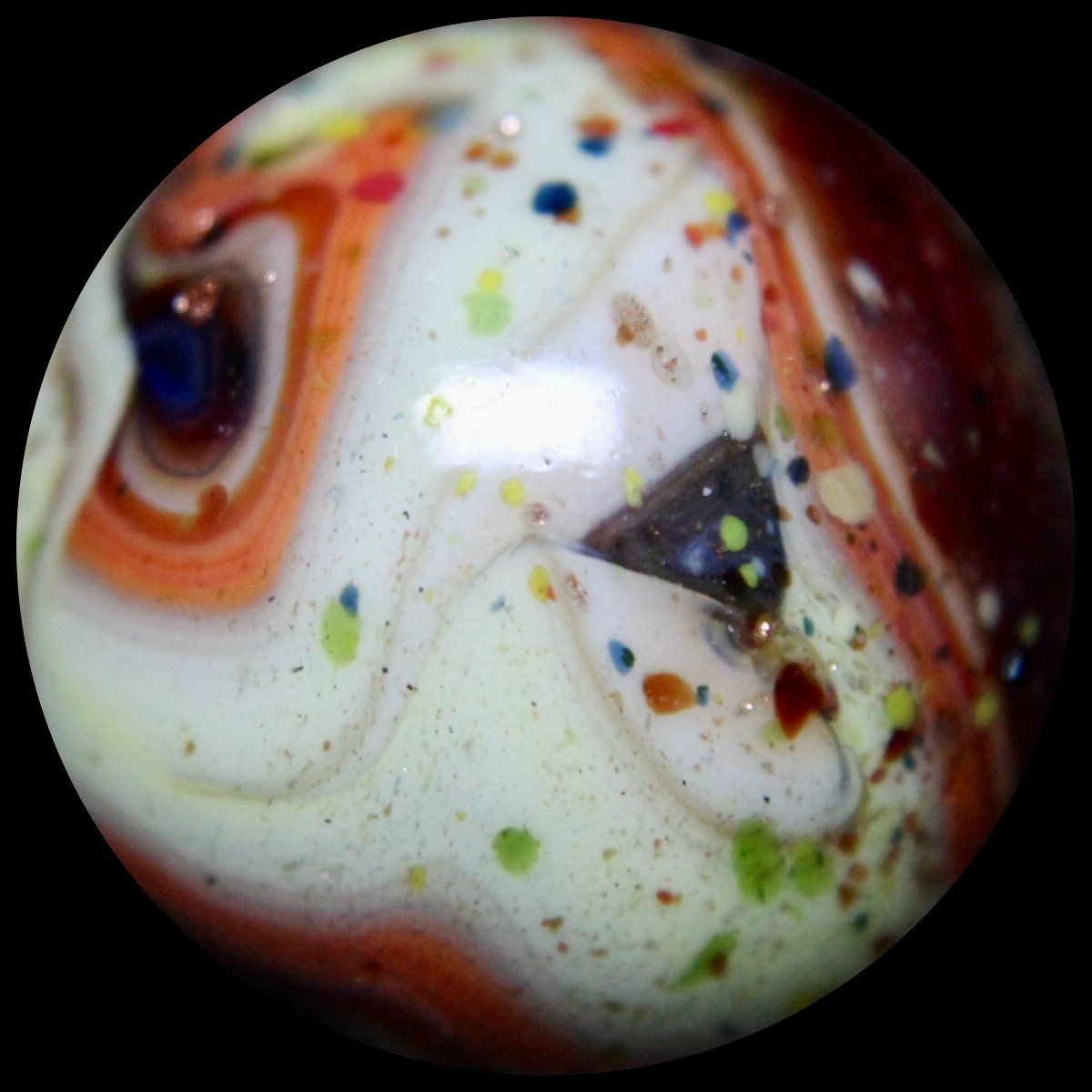 JABO Christmas 2011 Marble Collector Series: Rare Chocolate Lutz Guinea w/Flames