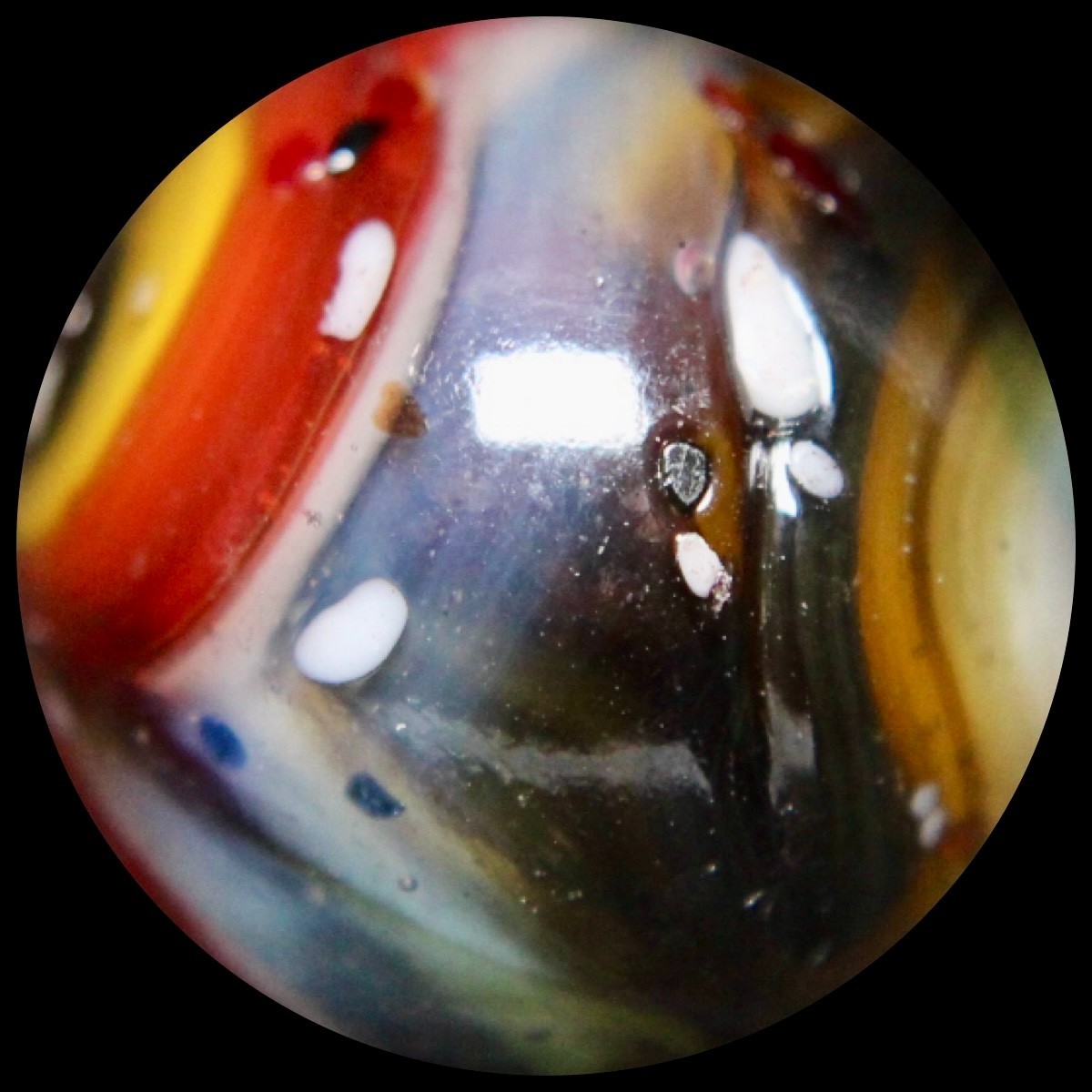 DAS Blue Moon Marble Collector Series: Oxblood Guinea