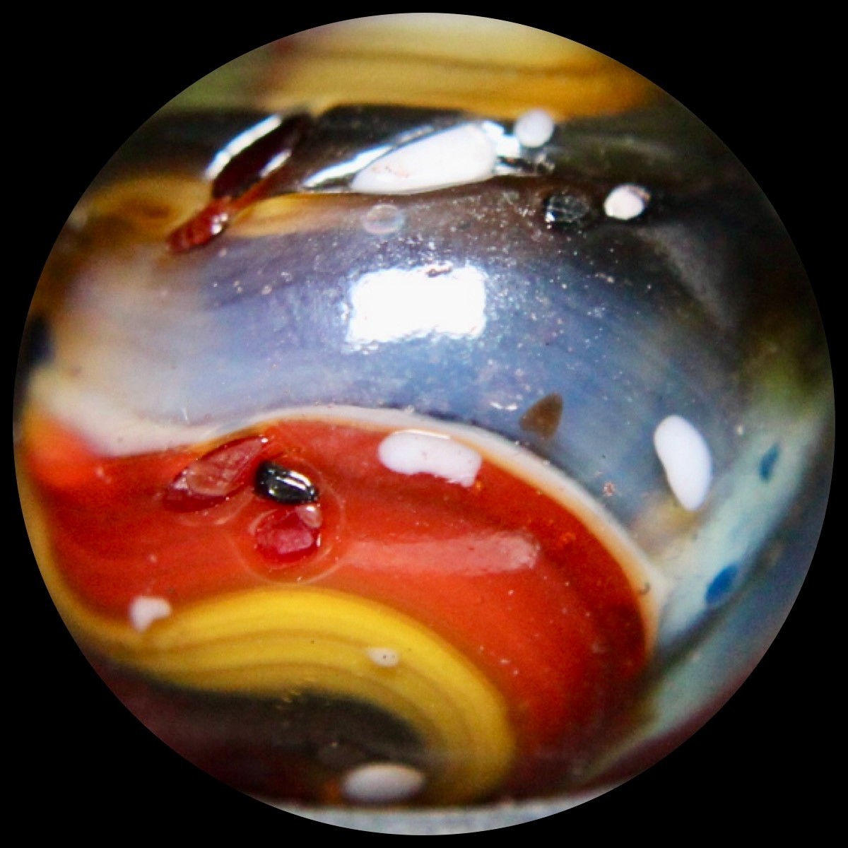 DAS Blue Moon Marble Collector Series: Oxblood Guinea