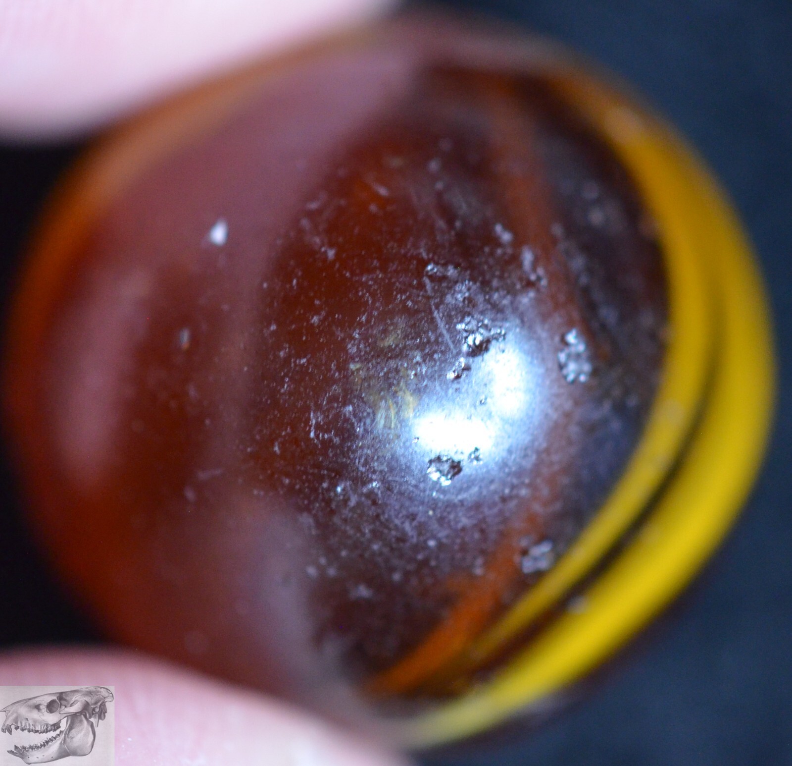 Handmade Caramel Swirl Marble, Amber Base, 11/16 in, Near Mint-, Germany, S983