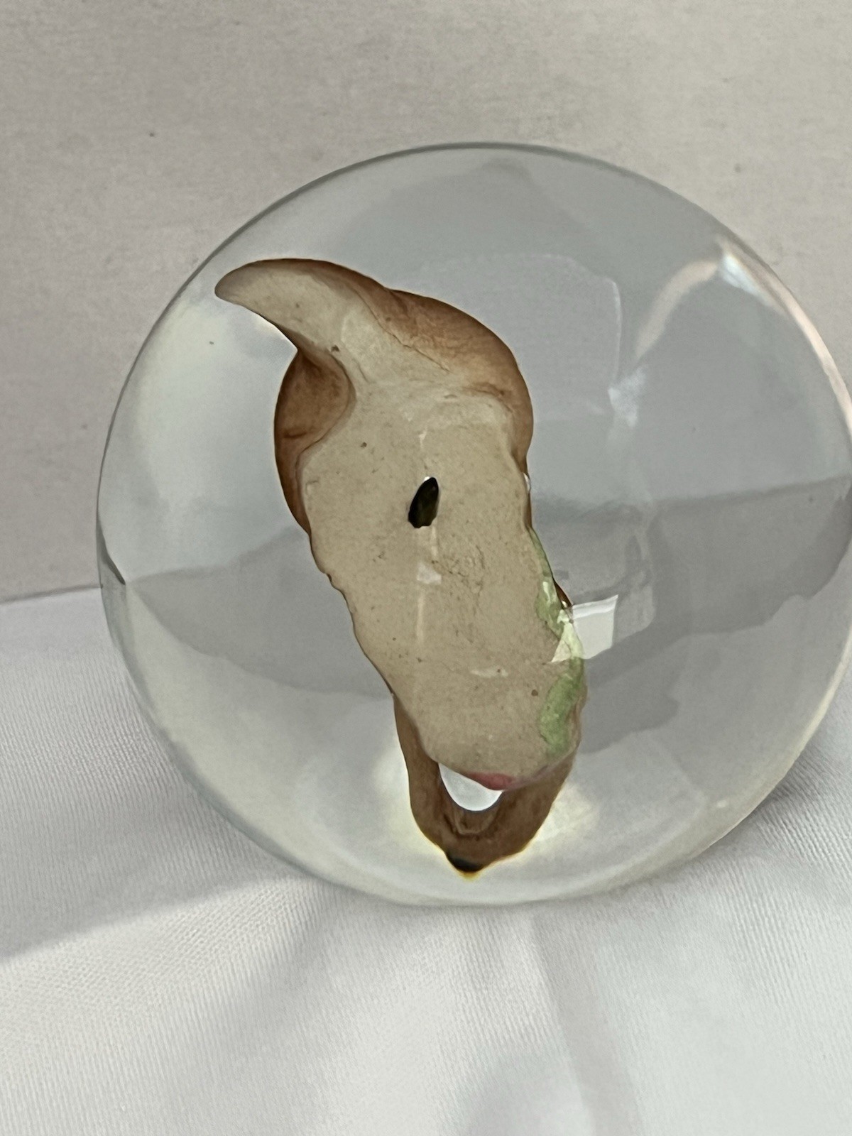 Vintage Handmade Sulphide Glass Marble Seal Pup 2 Inches Collectible Rare