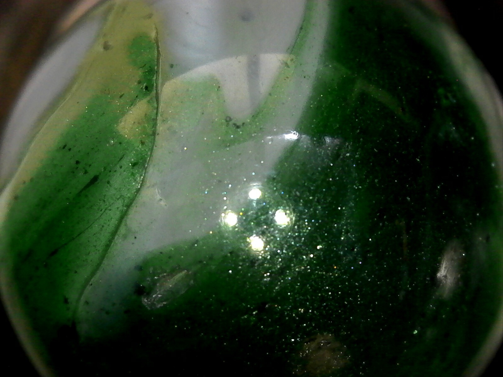 akro christensen ravenswood heaton alley peltier vitro jabo champion agate 10021