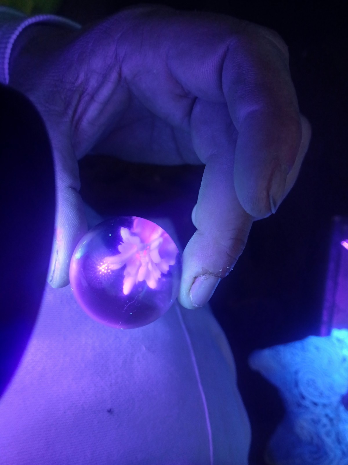 1 1/2 Inch Flower Implosion Marble with pink uv in the middle
