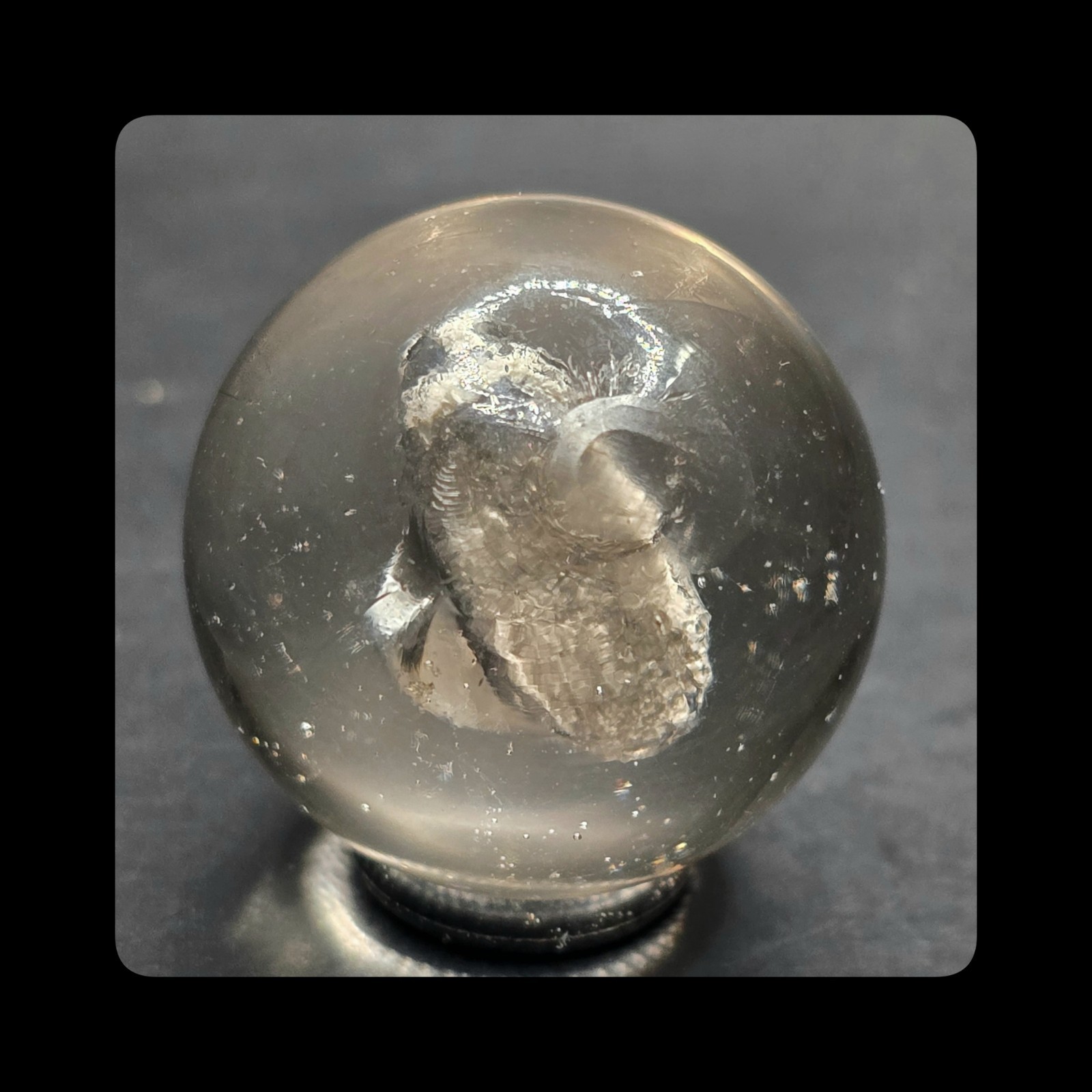 ~Mic’sMibs~ 1.09″ Faceted Detailed Boar Sulphide MINT 9.6
