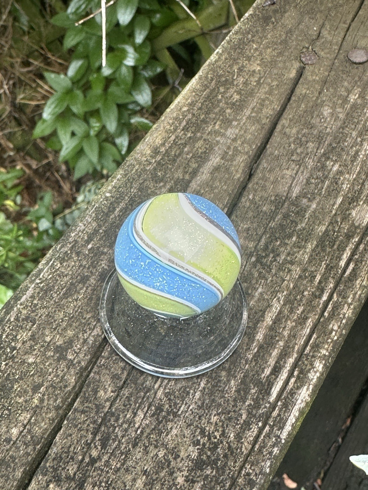 Eddie Seese Contemporary Glass Blue Yellow Band Dichroic Double Twist Marble 3cm