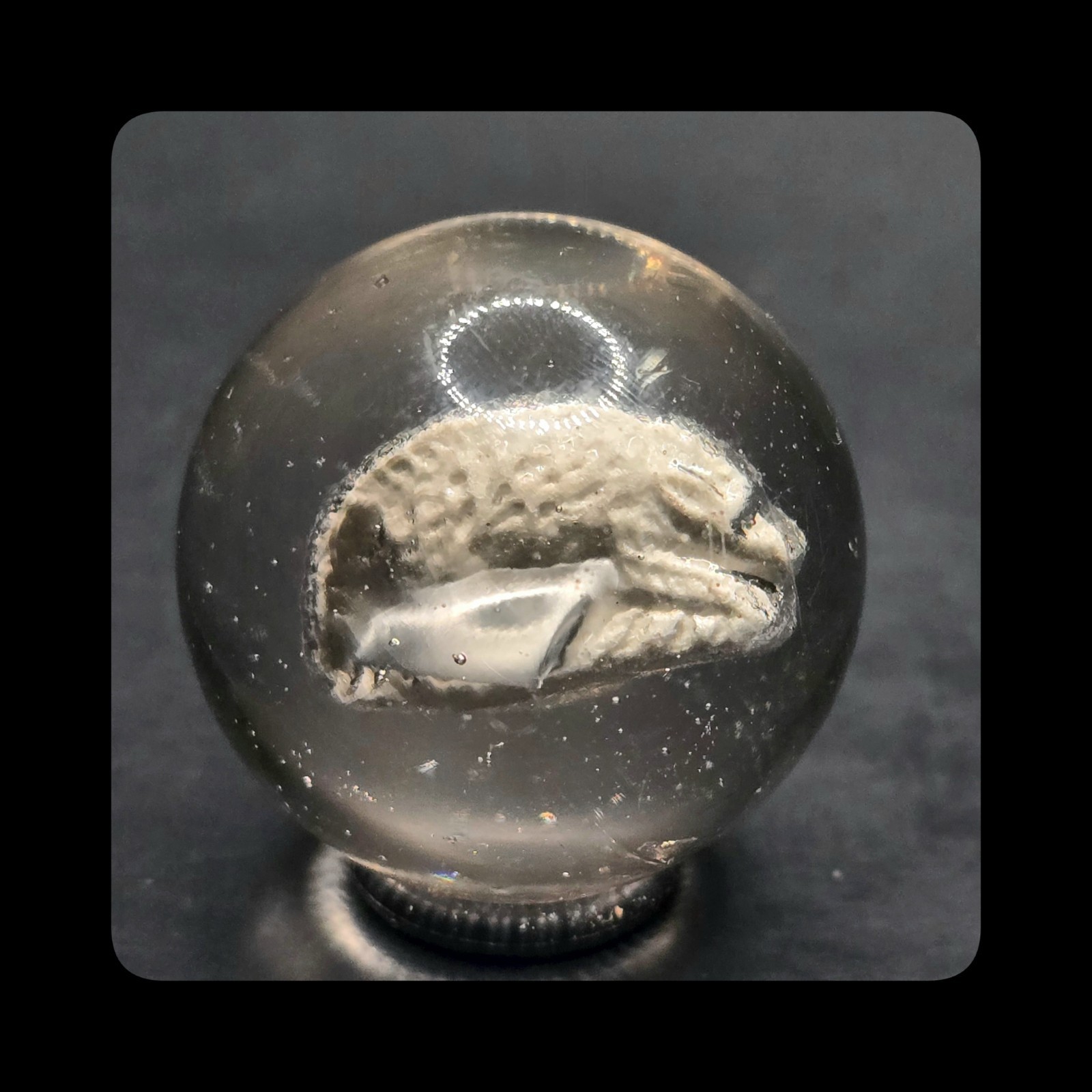 ~Mic’sMibs~ 1.09″ Faceted Detailed Boar Sulphide MINT 9.6