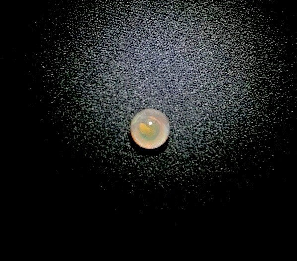 .31” “Mini Pearl” Eye Micro Pee Wee Glass Art Eyeball Marble