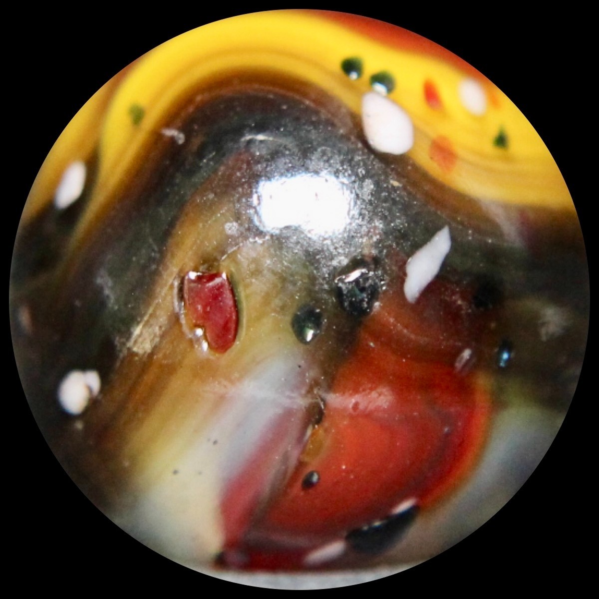 DAS Blue Moon Marble Collector Series: Oxblood Guinea