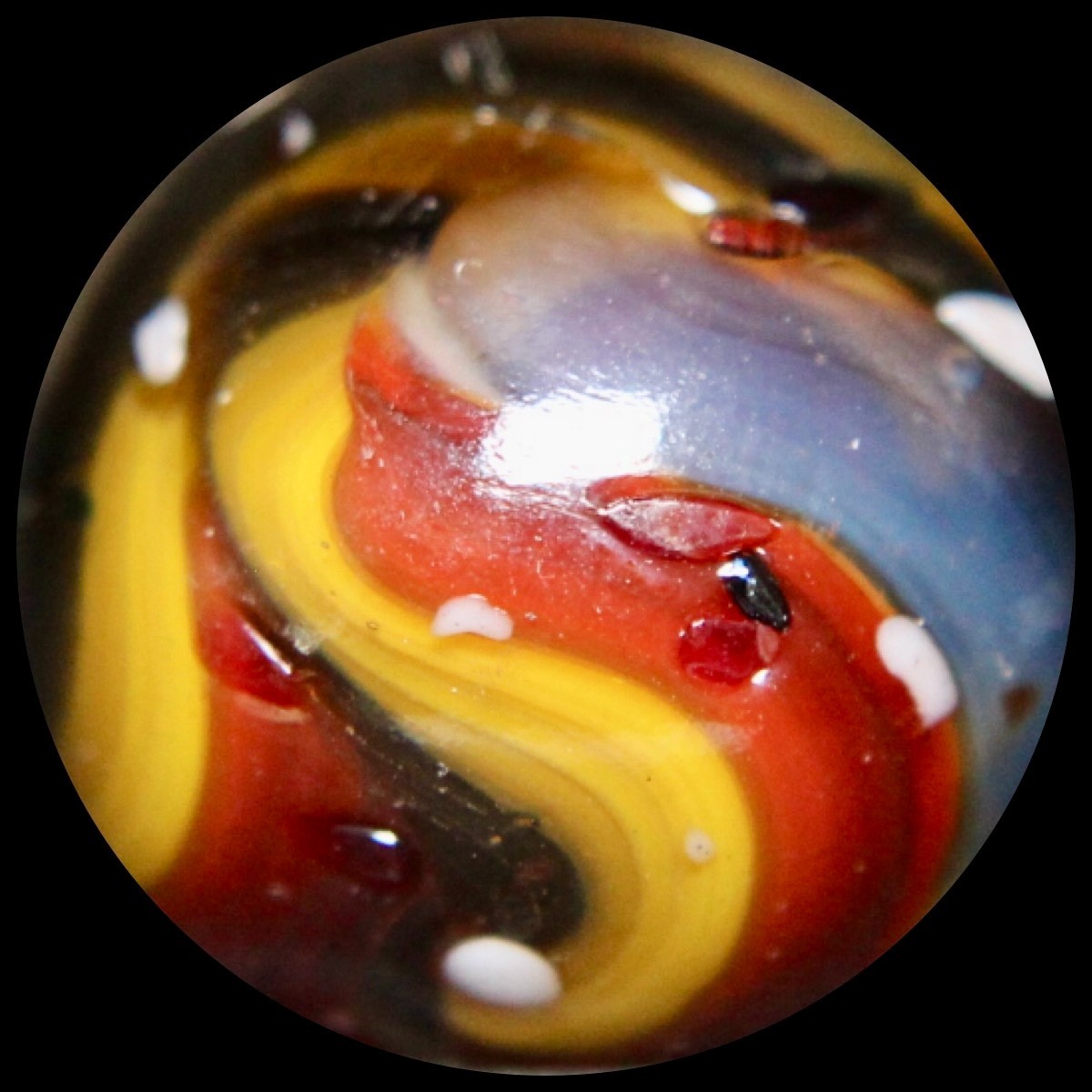 DAS Blue Moon Marble Collector Series: Oxblood Guinea