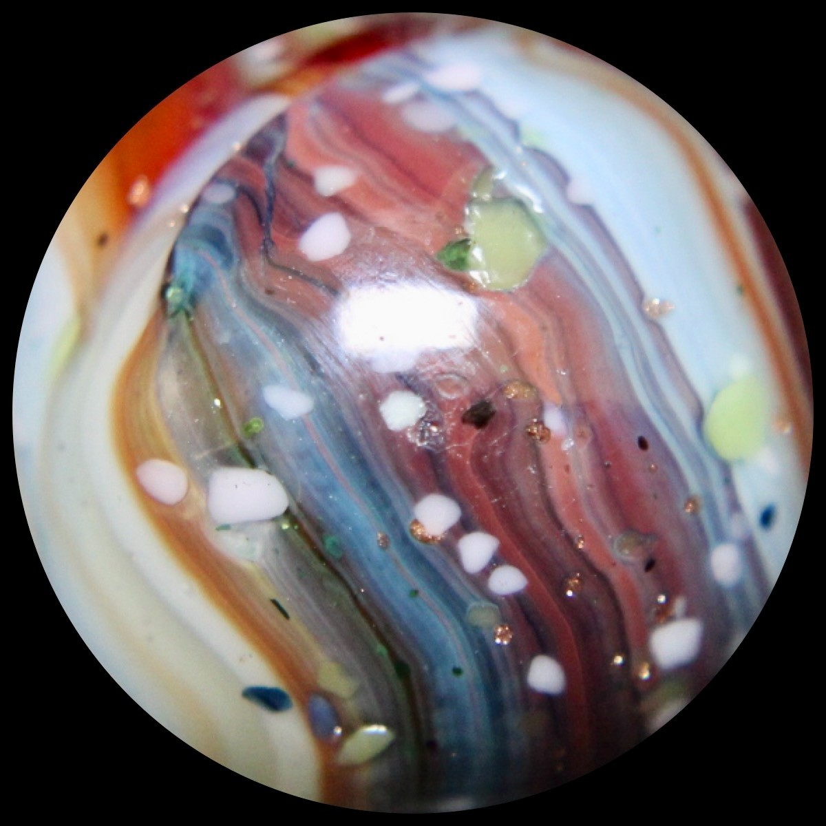 DAS Alley Silverback Marble Collector Series: Purple Rainbow Lutz Guinea