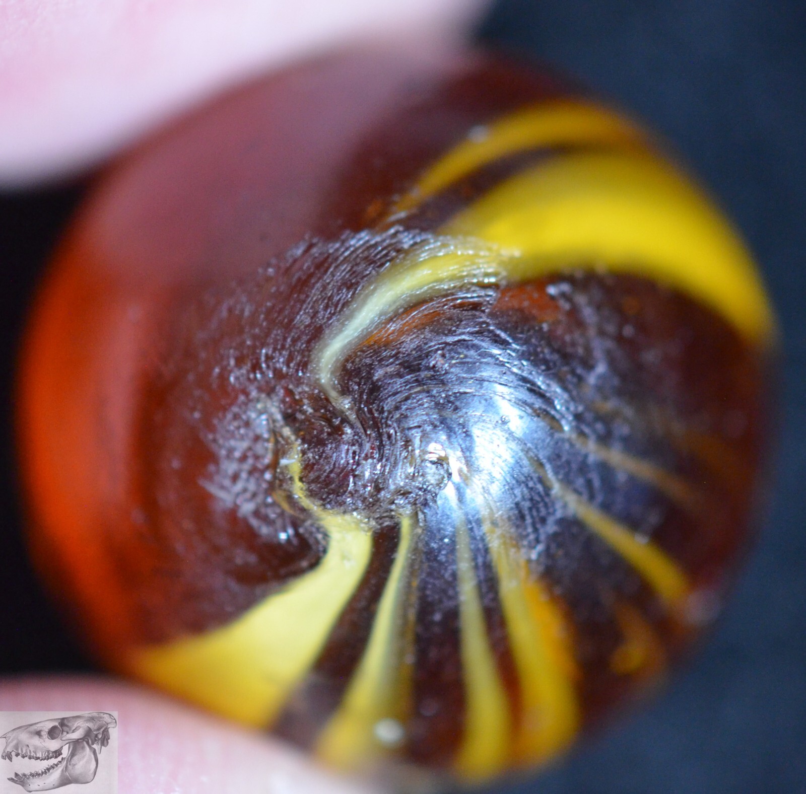 Handmade Caramel Swirl Marble, Amber Base, 11/16 in, Near Mint-, Germany, S983