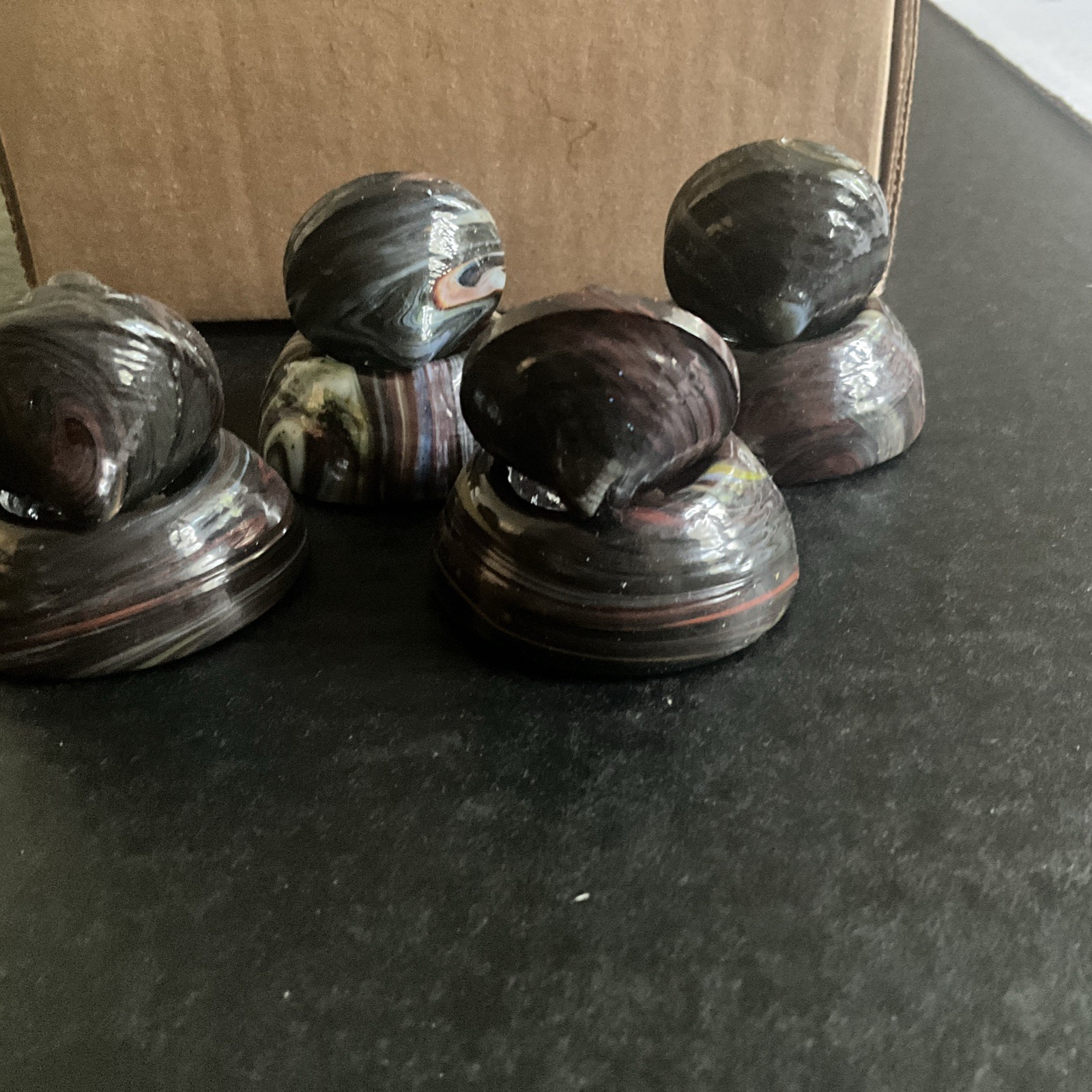 Andy Davis Glass Spinning Tops 4 Total