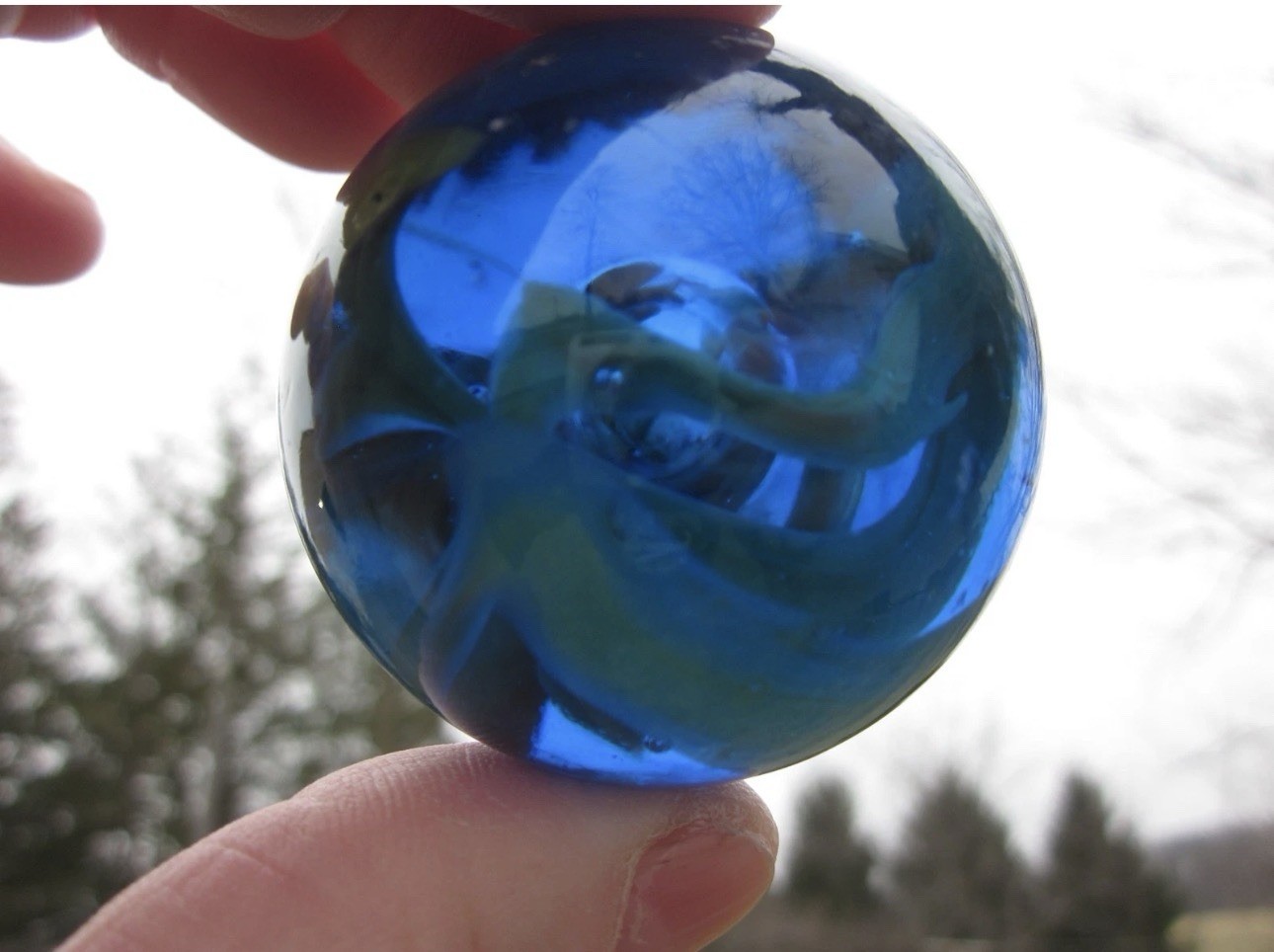 TOE BREAKER 50mm (2″) SEA TURTLE clear Blue/Green Marbles glass ball HUGE Swirl