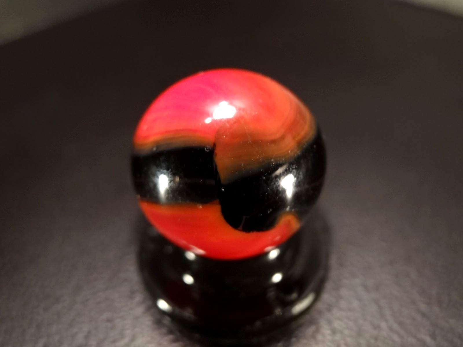 MARBLE KING TRANSLUCENT WASP 🐝🍯 Rare WET MINT