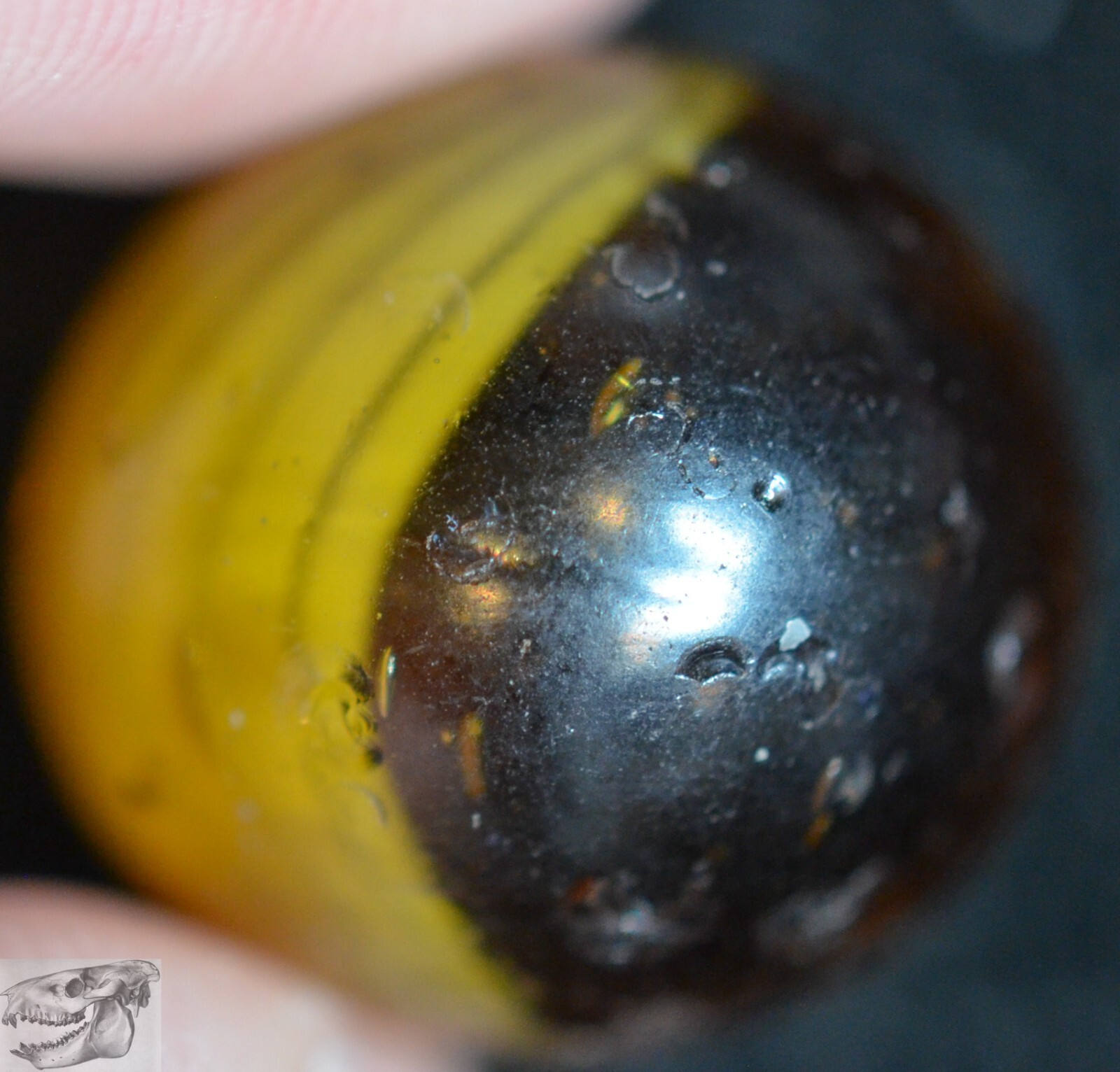 Handmade Cornhusk Banded Swirl Marble, Amber, 11/16 in, Near Mint-, German S1006