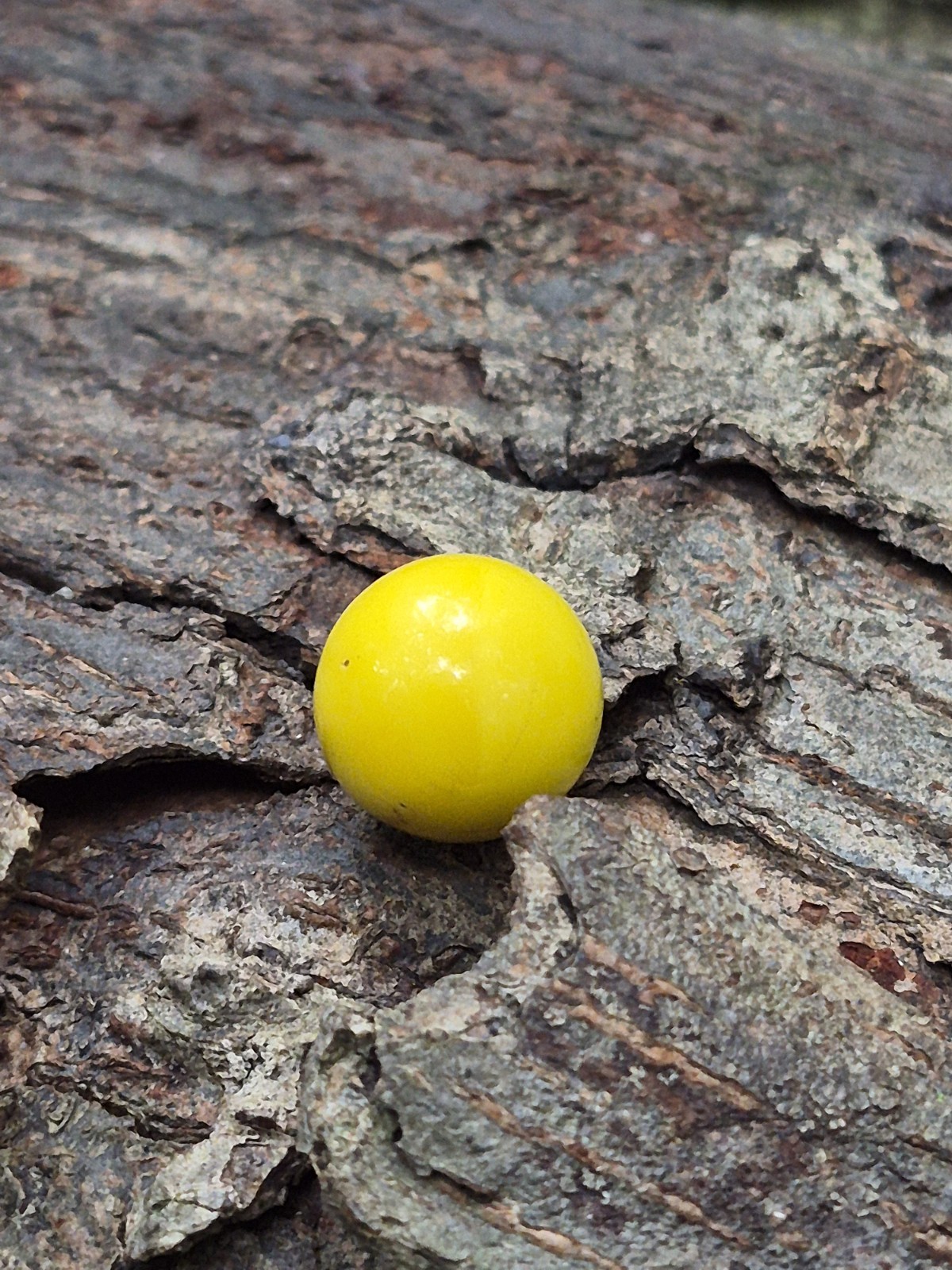 Vintage CAC Rare Opaque Yellow Pearl Swirl Christensen Marble Gathered Pontil