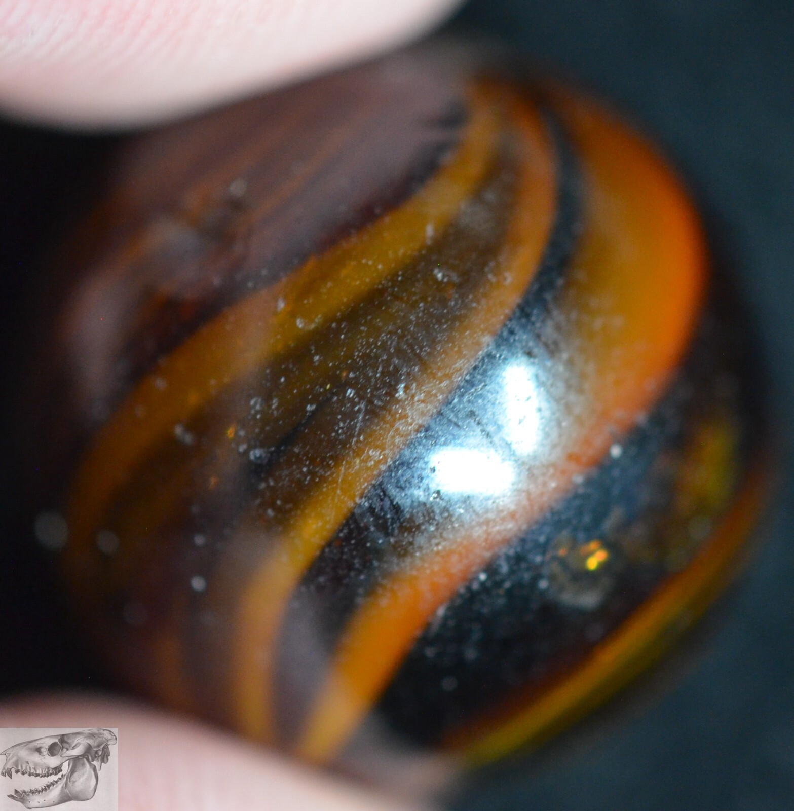 Handmade Dark Caramel Swirl Marble, 11/16 in, Near Mint, 1860-1920, Germany S979