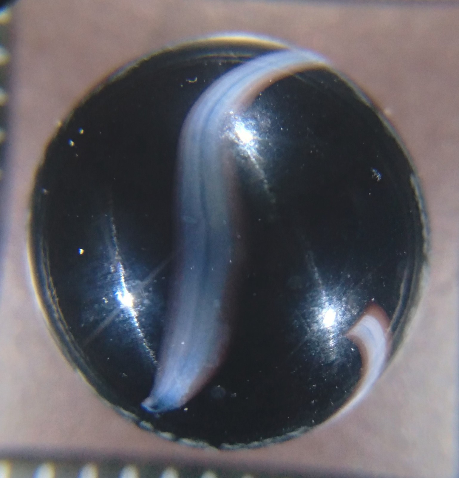 Antique Marbles .65 Ravenswood or Other WVS Opaque Black Blue Tan Ribbon