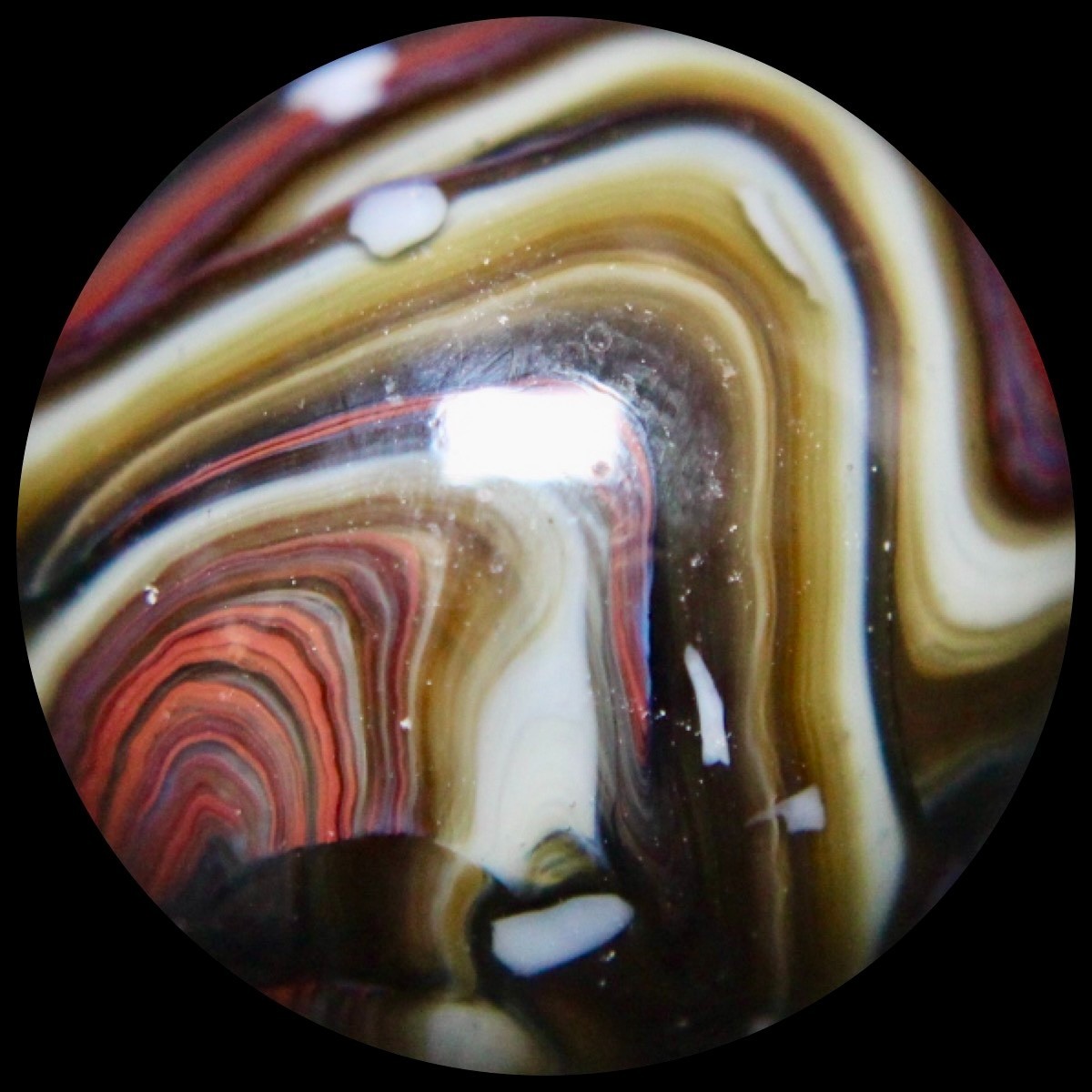 JABO Gold Medal Marble Collector Series: Big Chocolate Raspberry Guinea 0.763″