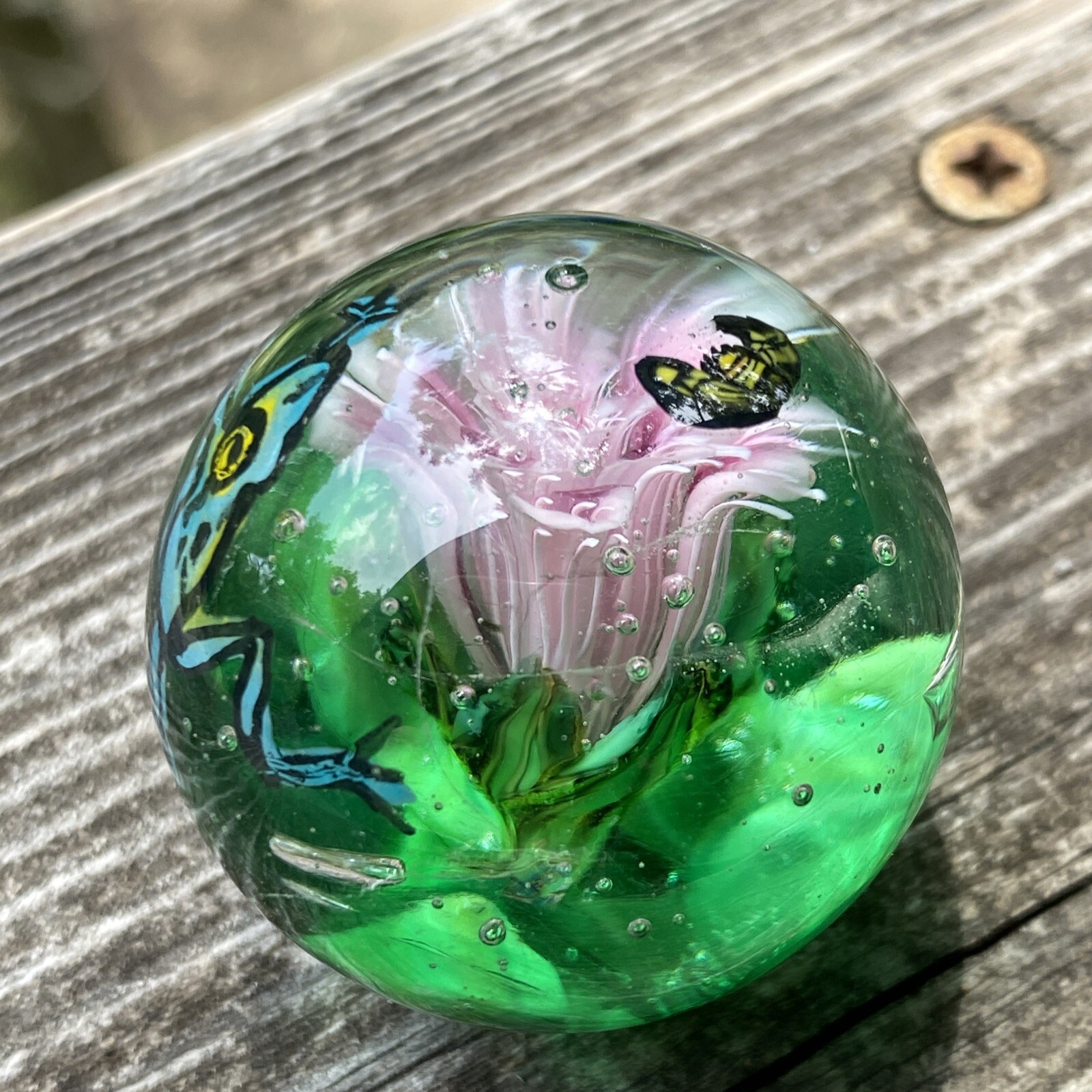 Handmade Glass Marble Healthy Frog Pond Sara Sally LaGrand