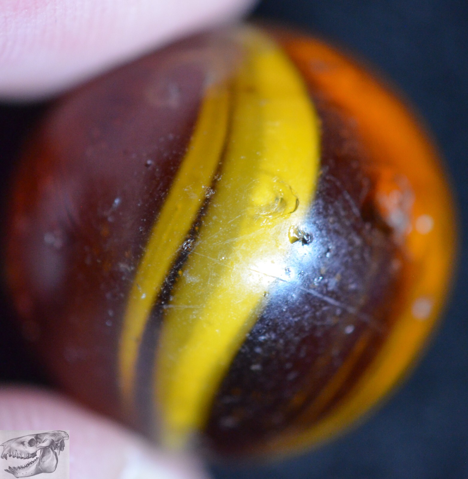 Handmade Caramel Swirl Marble, Amber Base, 11/16 in, Near Mint-, Germany, S983