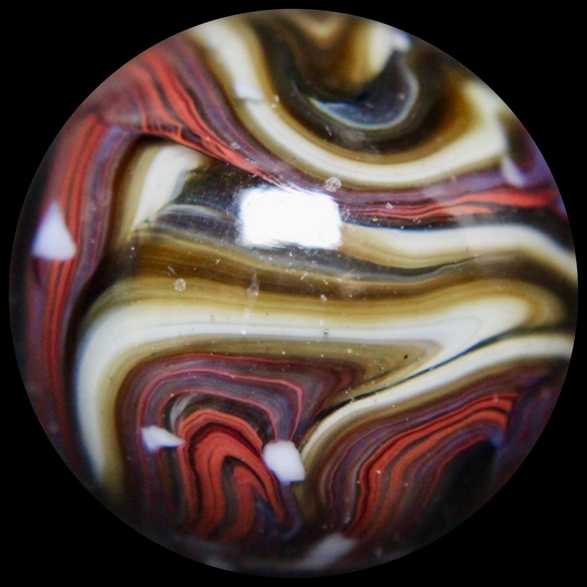 JABO Gold Medal Marble Collector Series: Big Chocolate Raspberry Guinea 0.763″