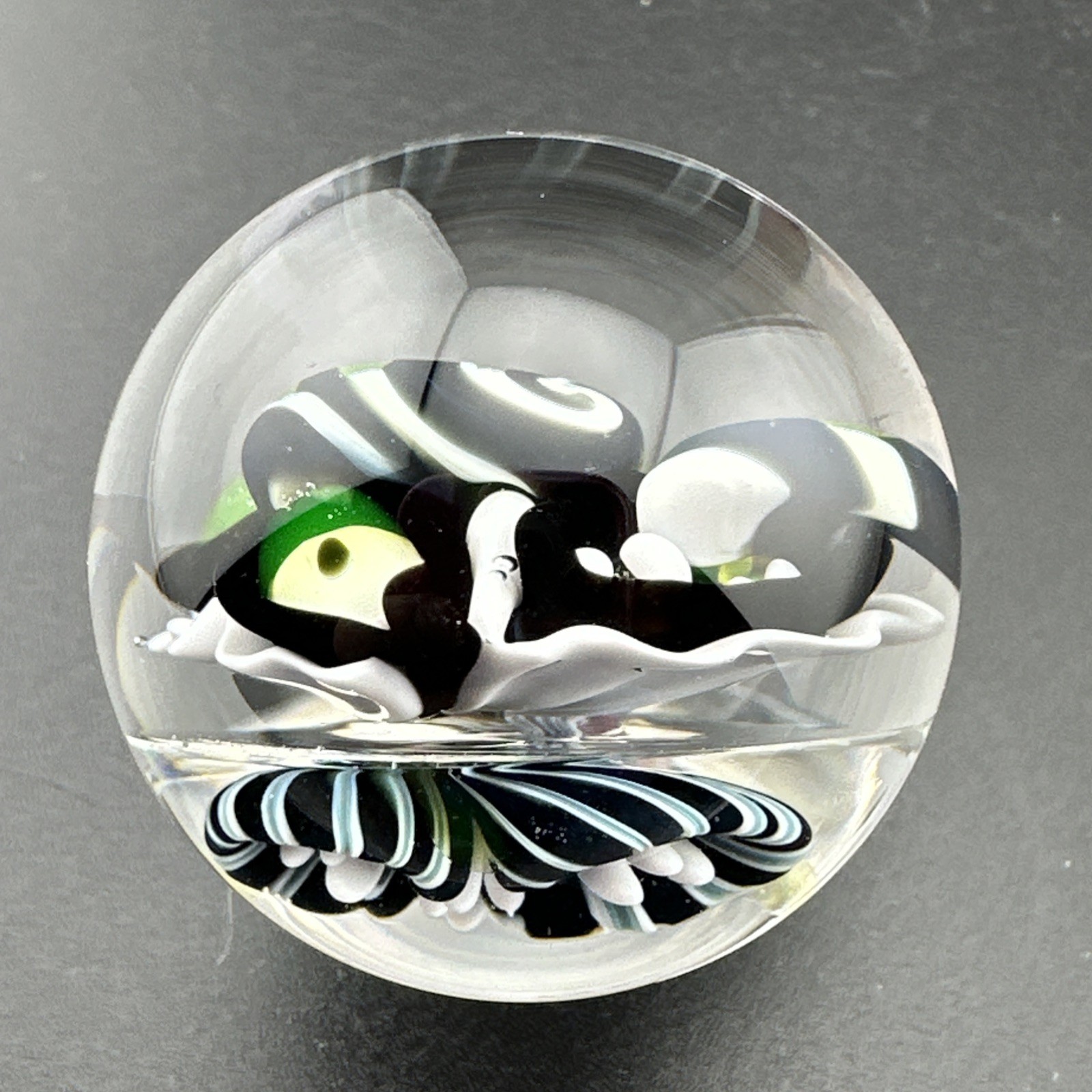 Contemporary Handmade Art Glass Marble 1.36″ Black White Monster, Flower, + UV!