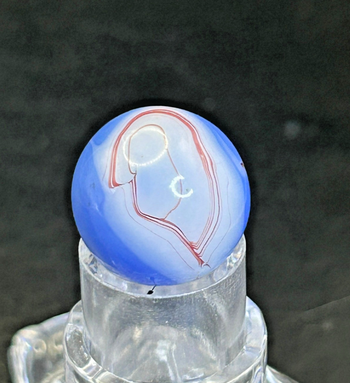 “The Ear” Alley Agate Swirl Marble Cobalt Blue/Oxblood Red .63″ Mint, OB16