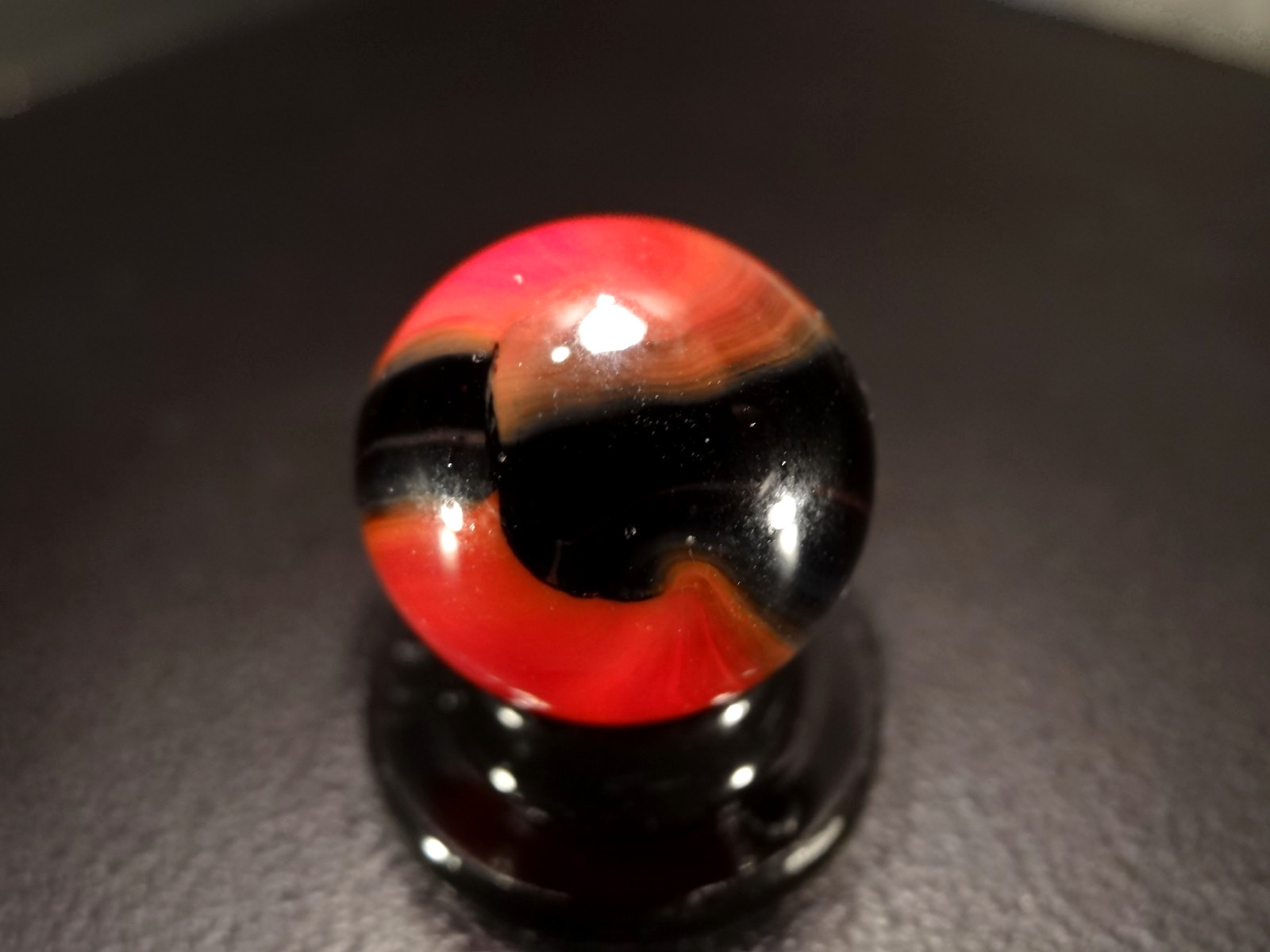MARBLE KING TRANSLUCENT WASP 🐝🍯 Rare WET MINT