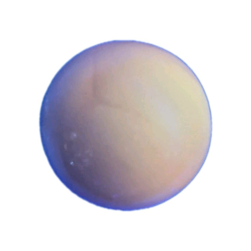 1 Yellow Pee Wee Marble, 12.5 mm Glow Orange UV reactive