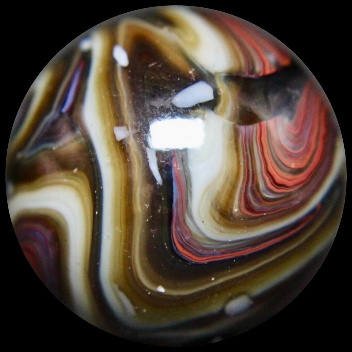 JABO Gold Medal Marble Collector Series: Big Chocolate Raspberry Guinea 0.763″