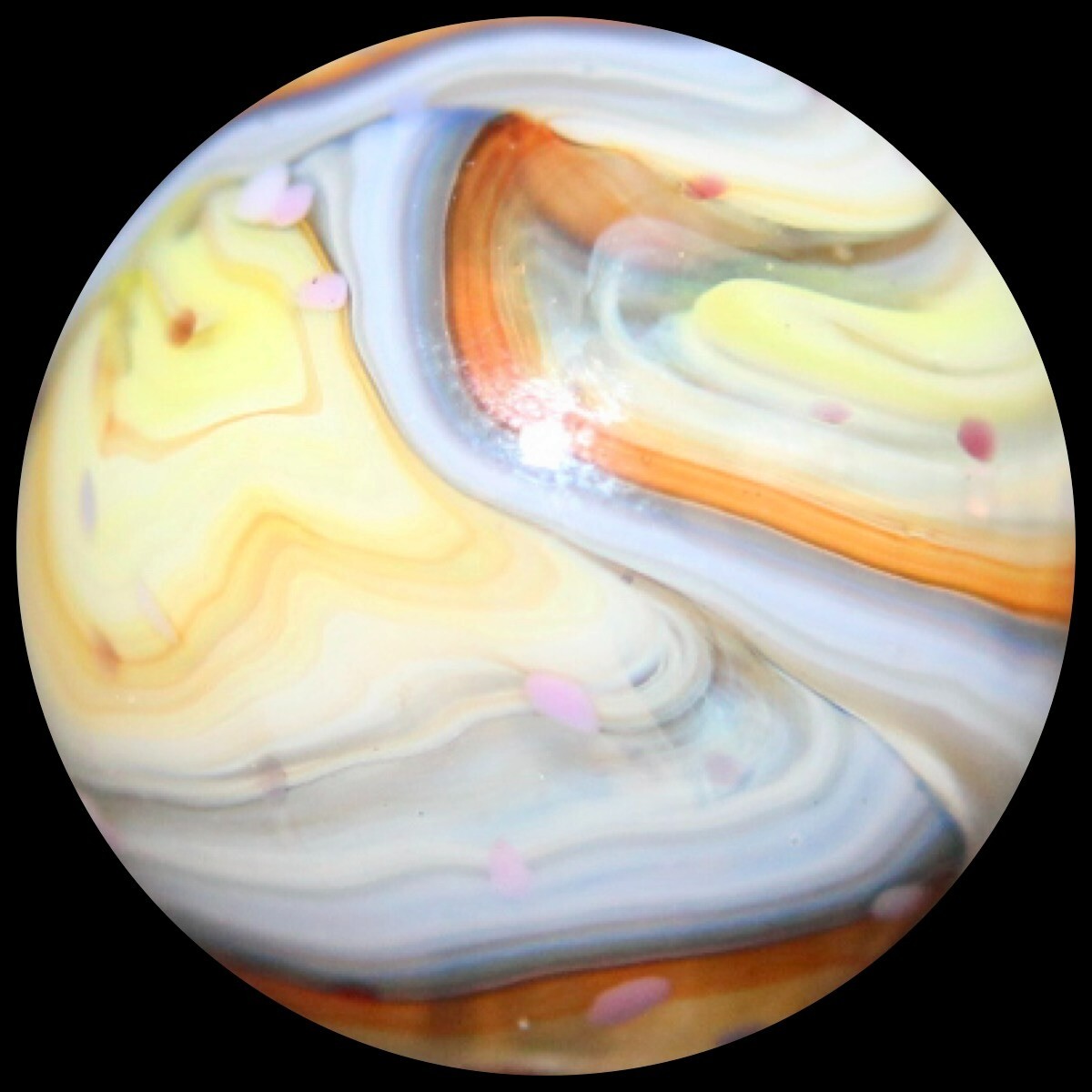 DAS Equinox Marble: “Buttermilk” Family Lutz Guinea