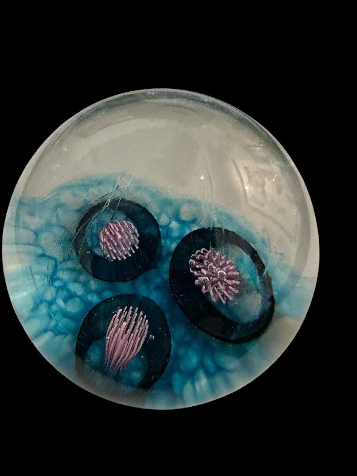 NEW John Gibbons Large Coral Reef Anemone Marble Pink & Blue Hand Blown Glass