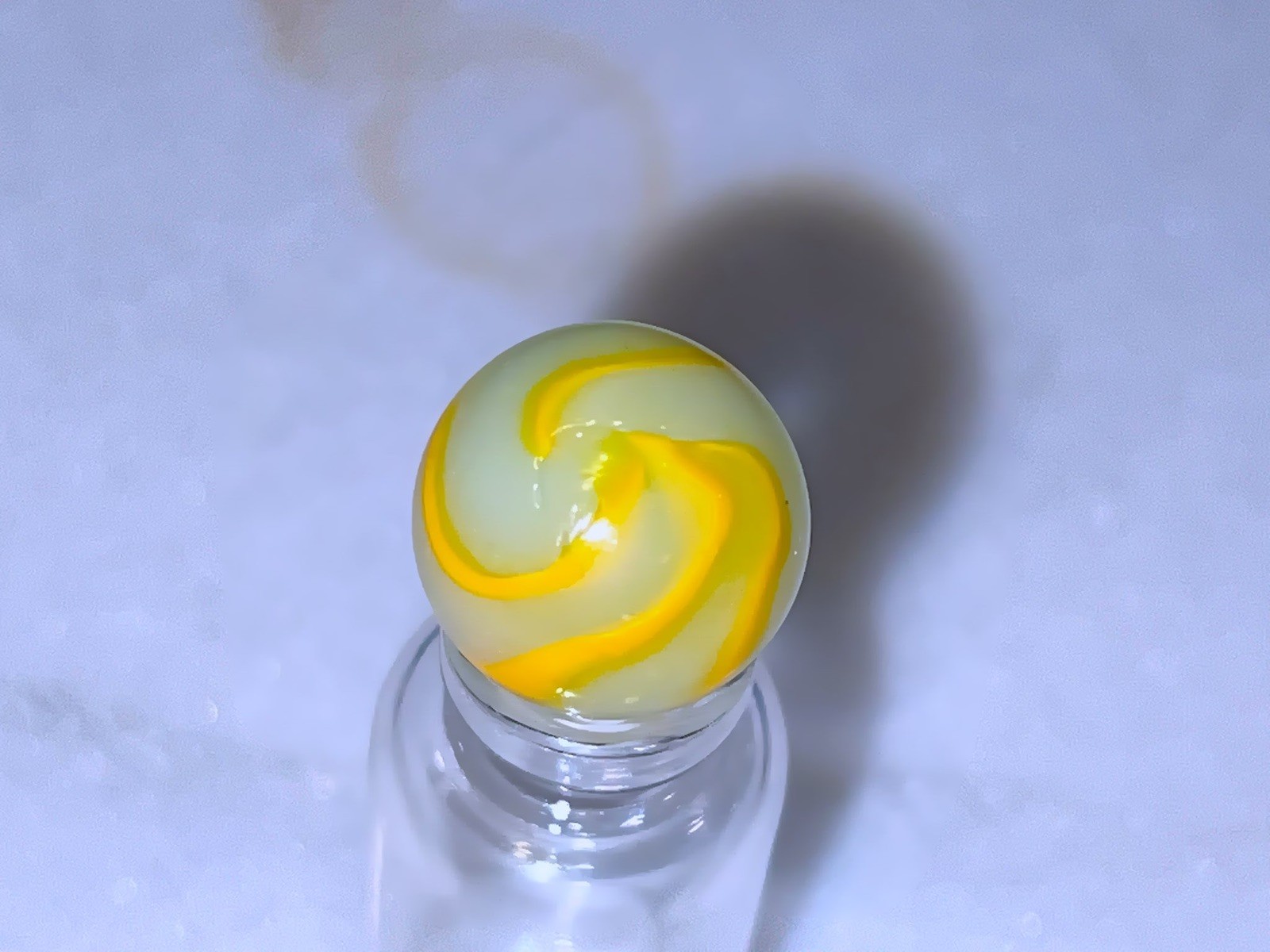 Rare Unusual Peltier Rainbo Hybrid. Yellow and Opalescent white