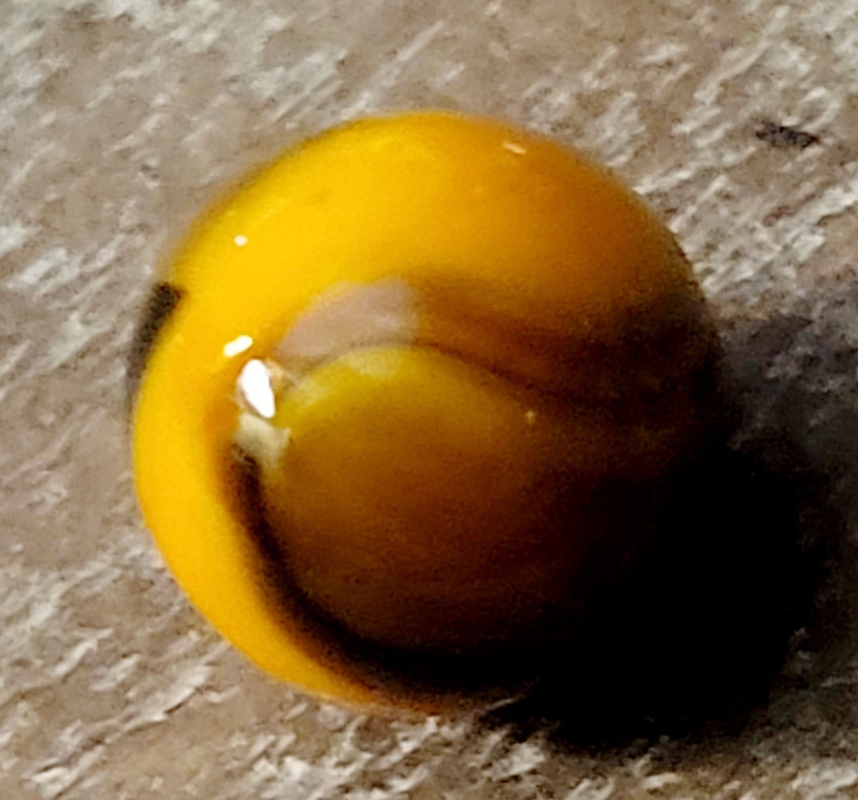 NEAR MINT Super Mini 1mm PELTIER PEE WEE , Many Colors, Maybe Oxblood