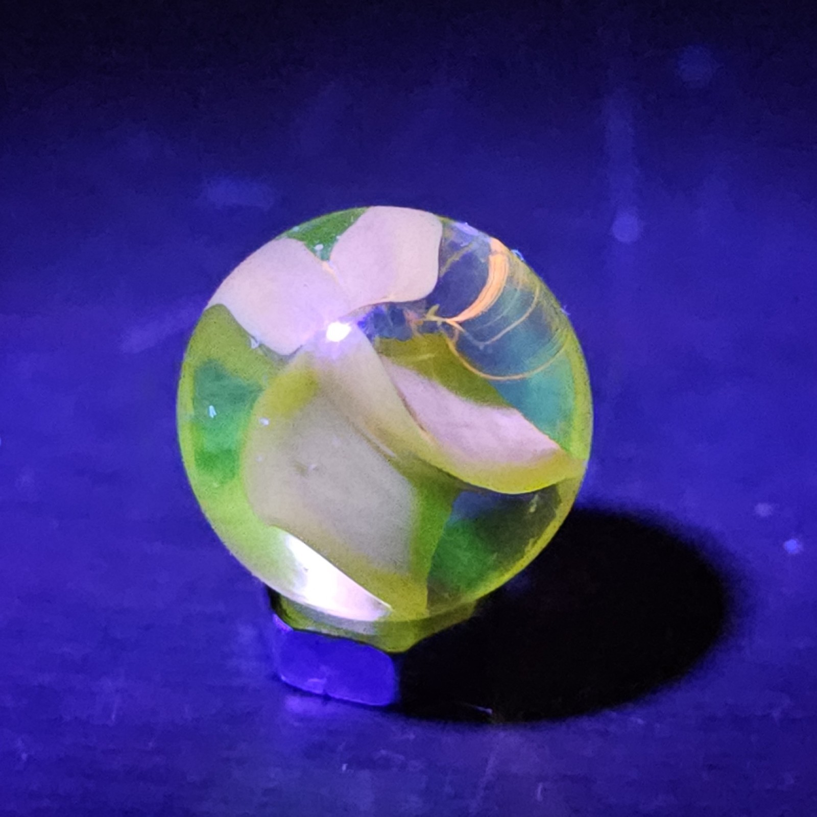 Vintage C. E. Bogard Yellow Hybrid Cats Eye Magnesium Glow Clear .593 Marble