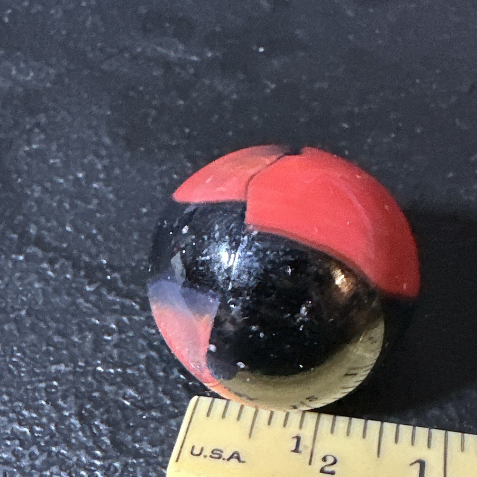 Vintage CAC, Peltier, Other 5/8”(.625”) NM*_NM++ Coral On Black Base