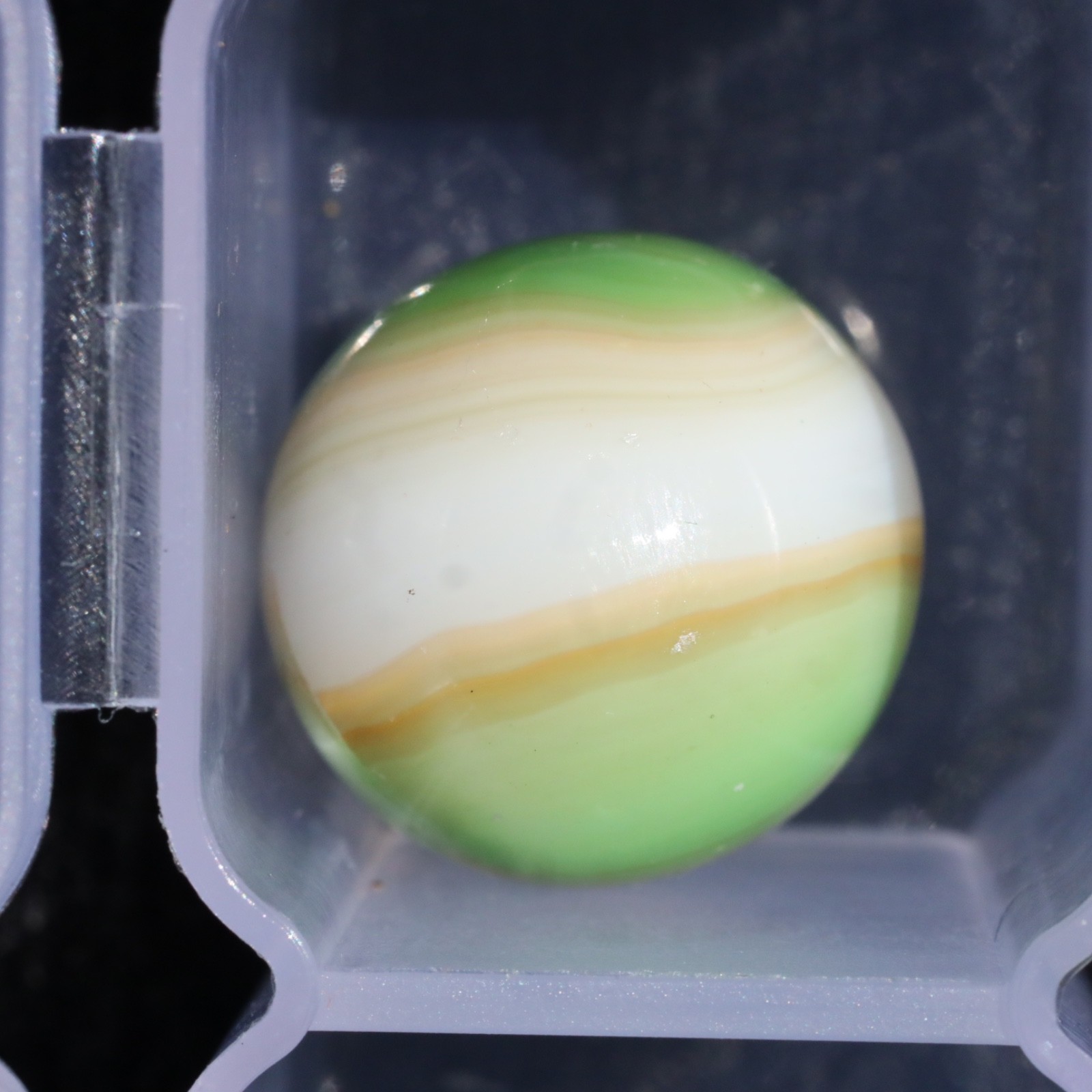BEAUTIFUL MARBLE KING Rainbow Hybrid Green White Cream 5/8″ M