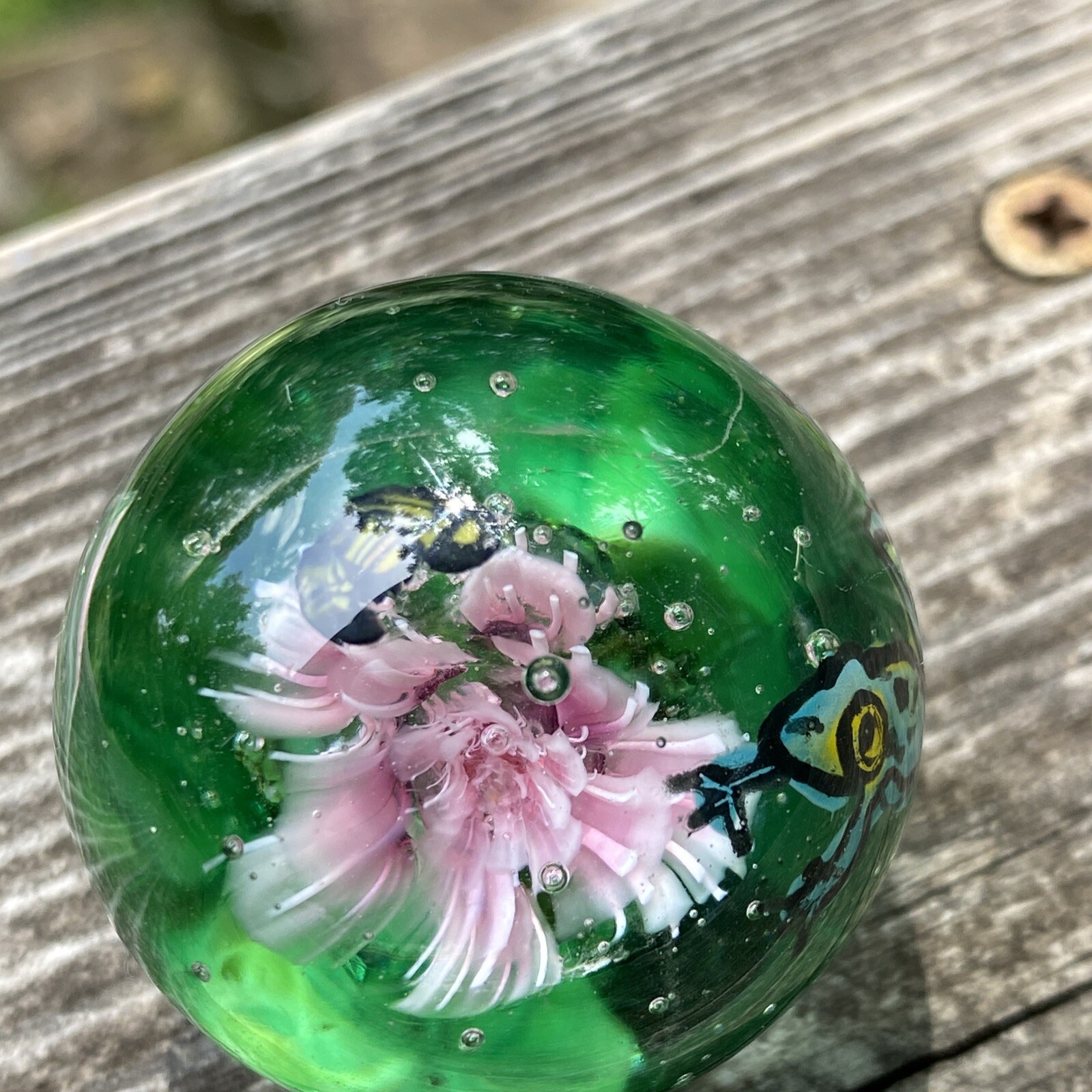 Handmade Glass Marble Healthy Frog Pond Sara Sally LaGrand