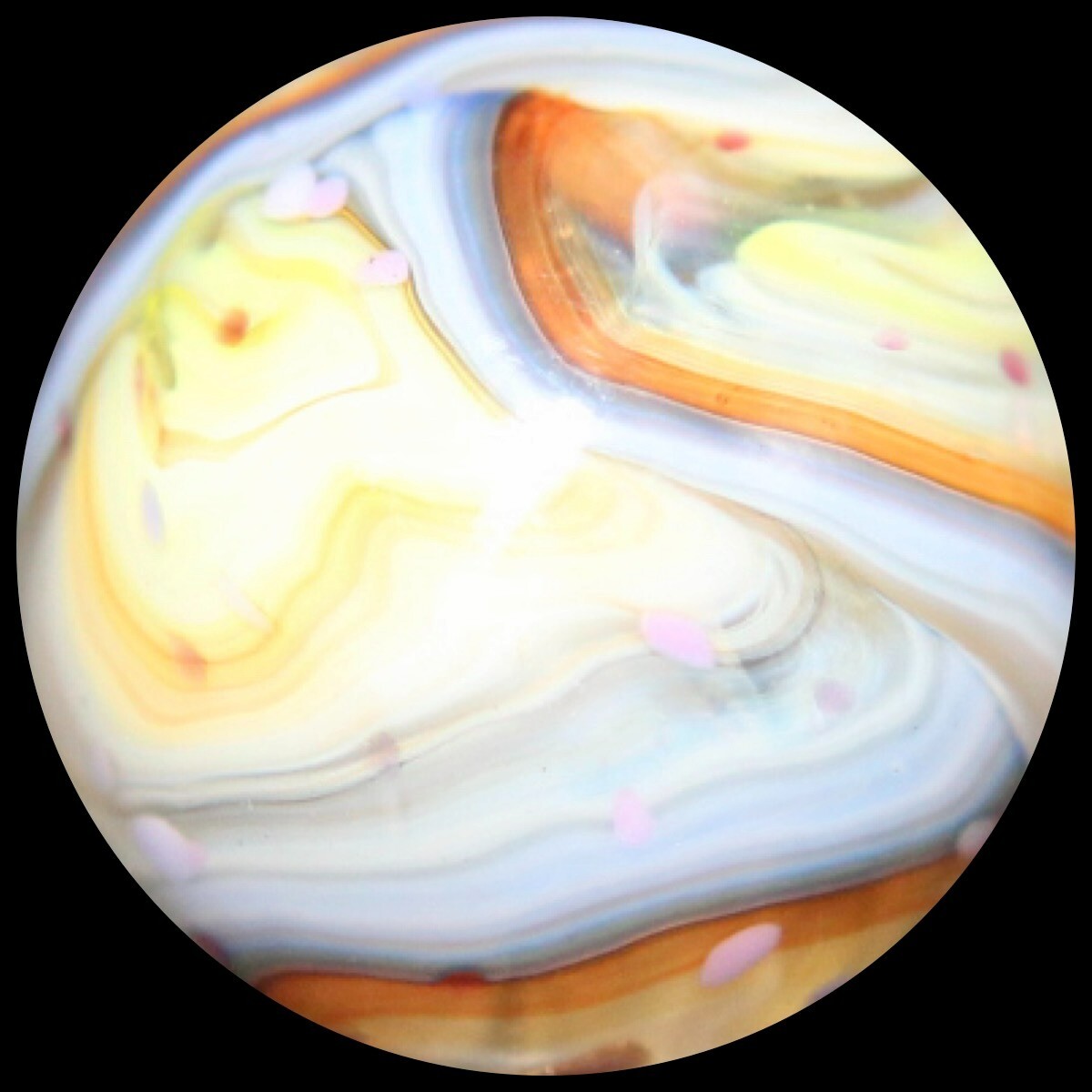 DAS Equinox Marble: “Buttermilk” Family Lutz Guinea