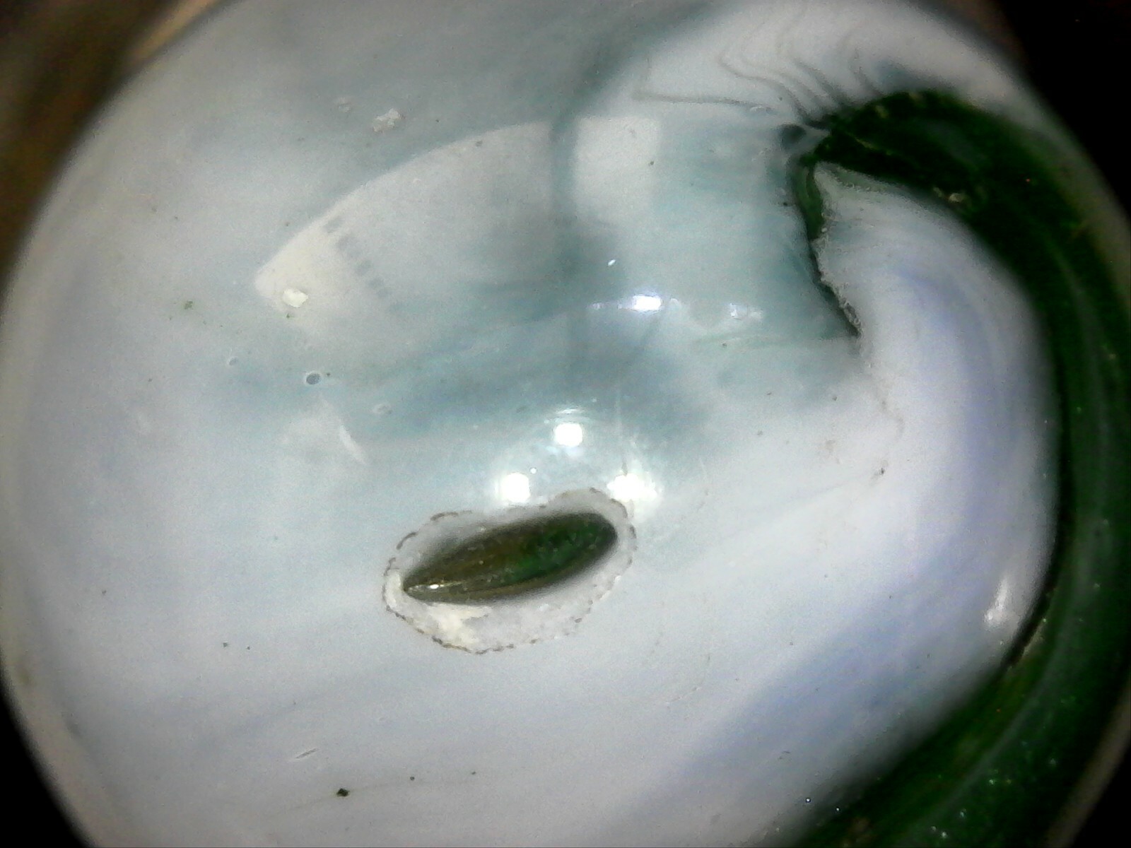 akro christensen ravenswood heaton alley peltier vitro jabo champion agate 10021