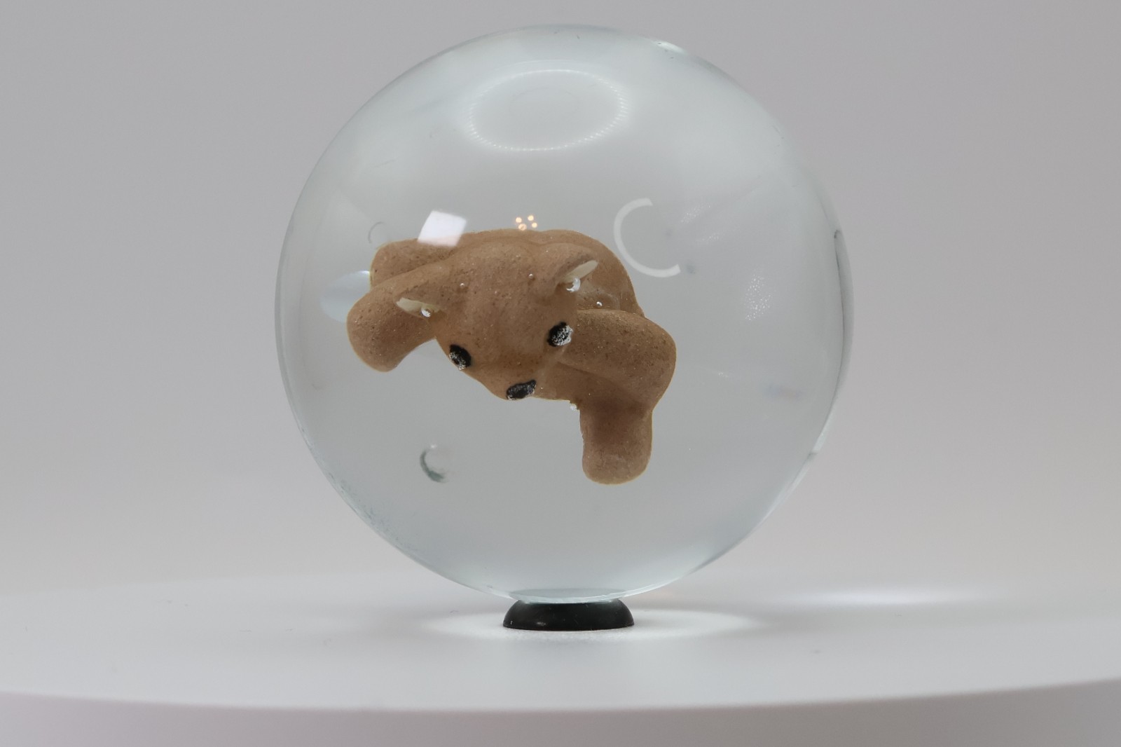 Contemporary colored Sulphide Marble – Teddy Bear 2.25″ NM-