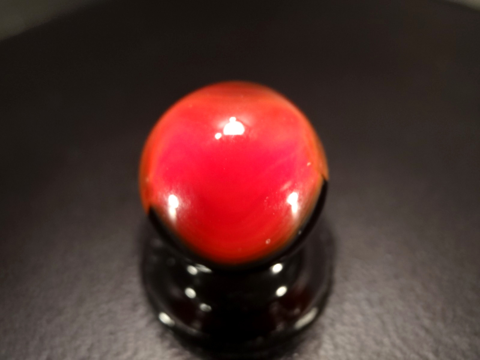 MARBLE KING TRANSLUCENT WASP 🐝🍯 Rare WET MINT