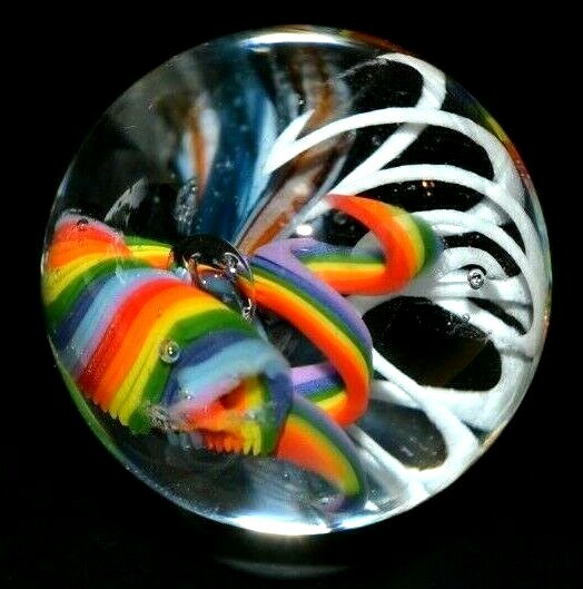 VINE GLASS MARBLE/1.184″-JELLYFISH FIELDS SMALL SAMPLER-WHITE SLINKY,RAINBOW FIL
