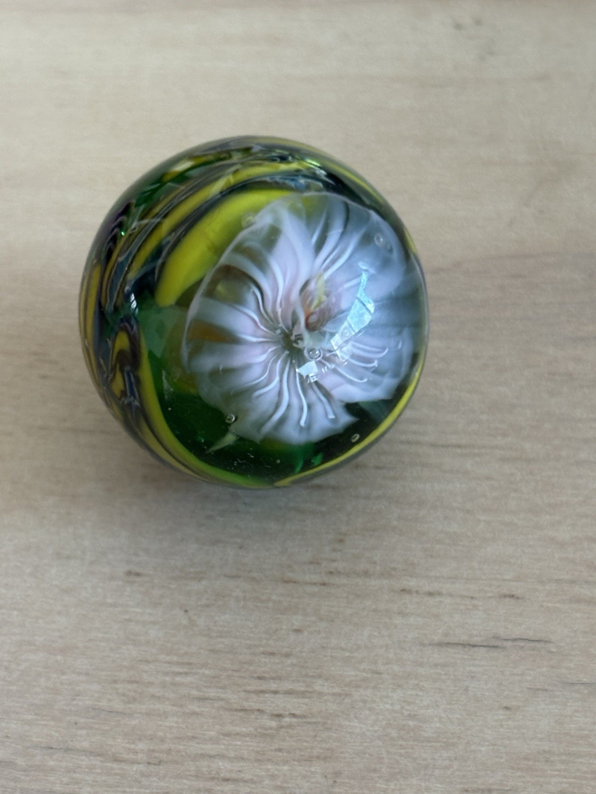 handmade art glass marble “Bi Polar Number 773”” By Sara Sally LaGrand