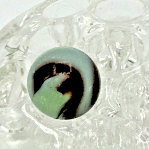 Alley Agate Pistachio Chocolate UV Swirl 5/8″ Marble Mint Green & Brown Smooth!