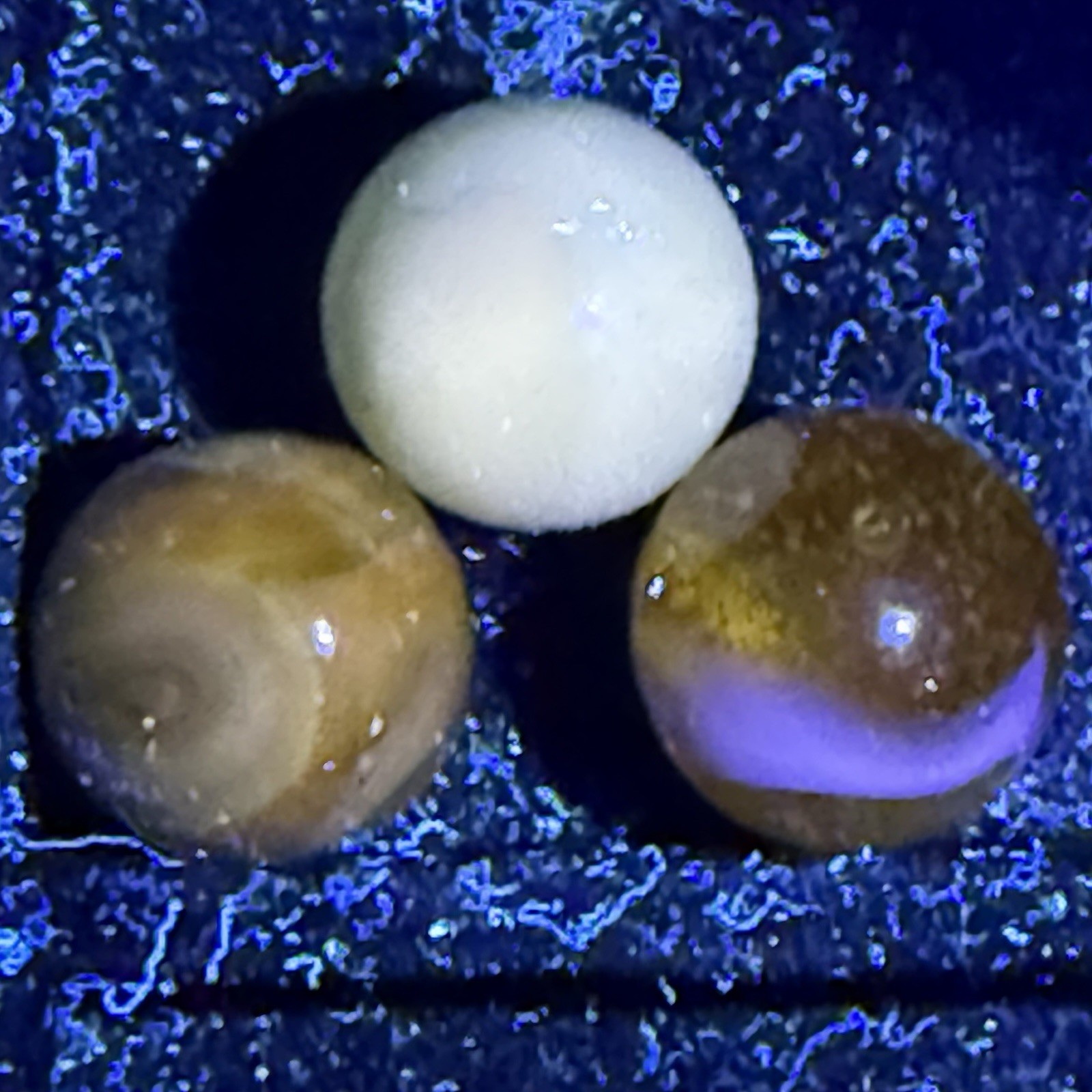 Interior swirl marble lot 3 Transparent Yellow Transparent Grey Translucent Blue