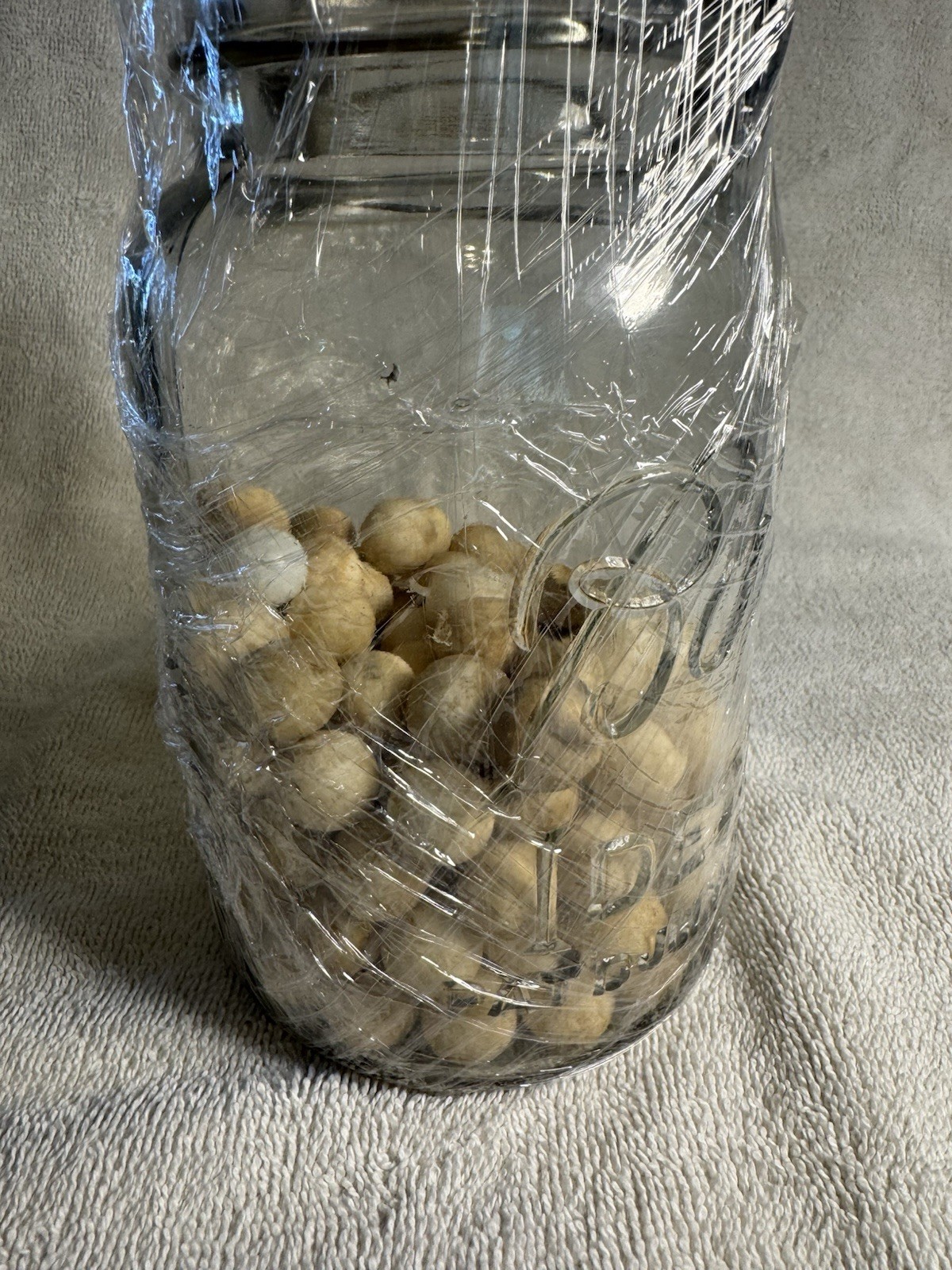 Unusual, Small Brown Marbles Assorted Number