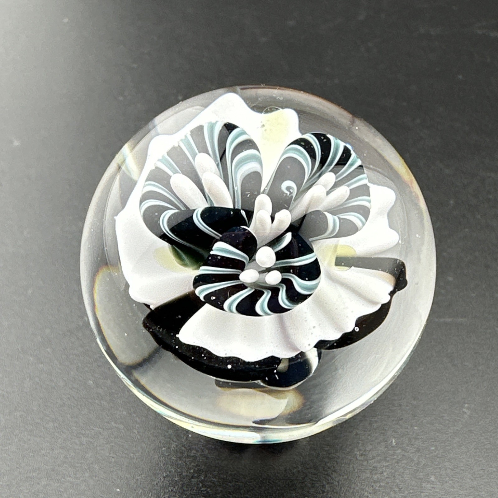 Contemporary Handmade Art Glass Marble 1.36″ Black White Monster, Flower, + UV!