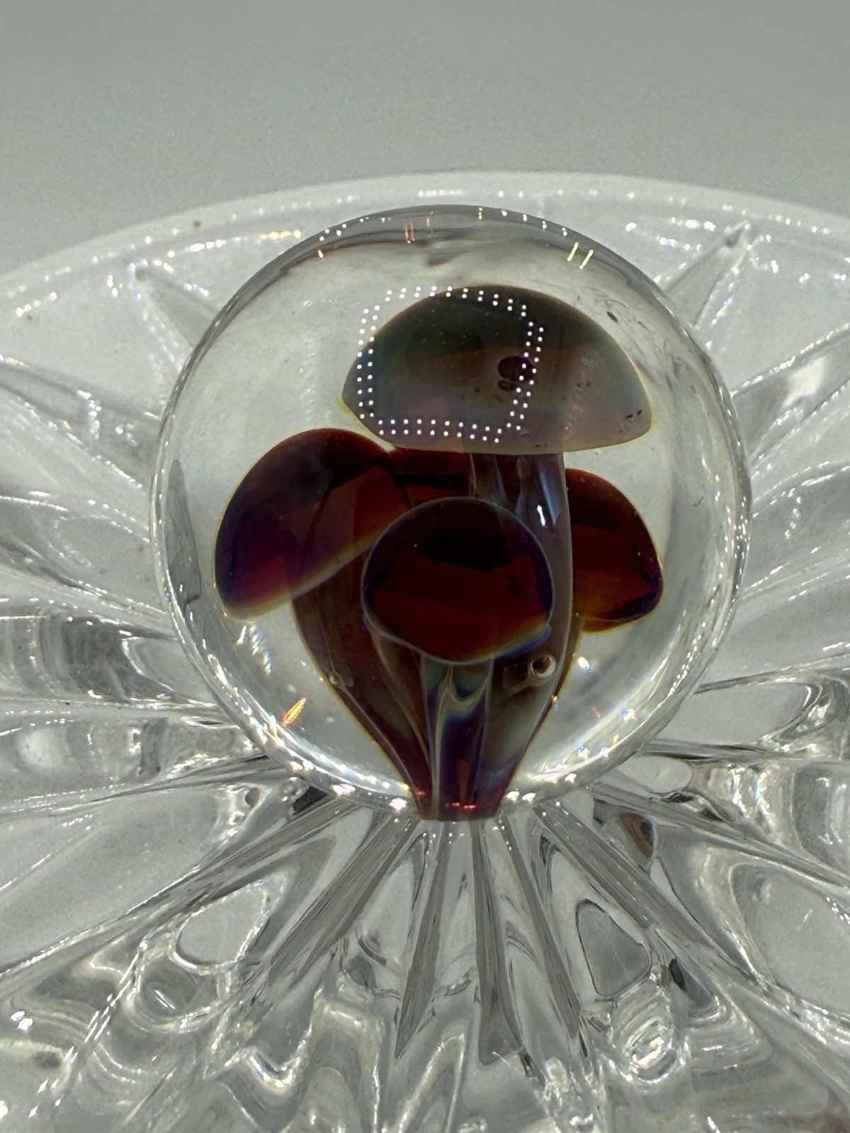 Contemporary Handmade Art Glass Marble With Mushrooms Inside Approximately 1”